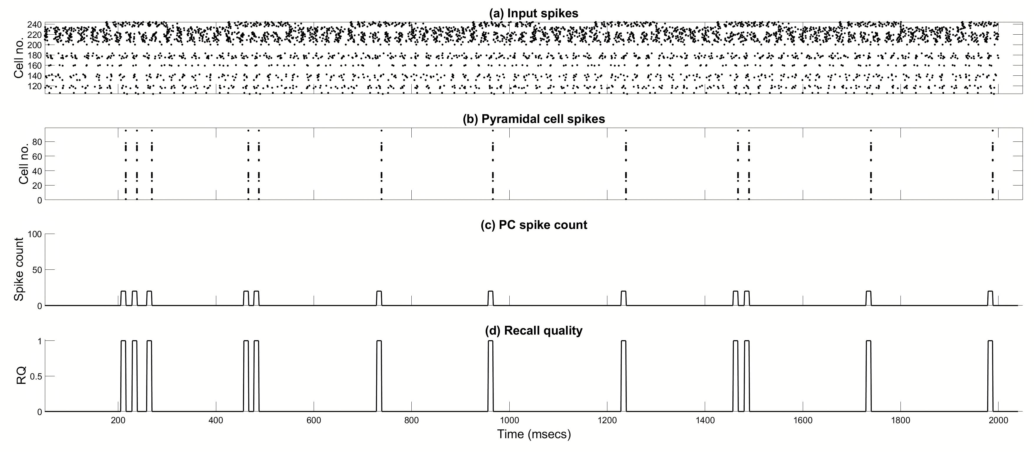Brainsci 15 01219 g006
