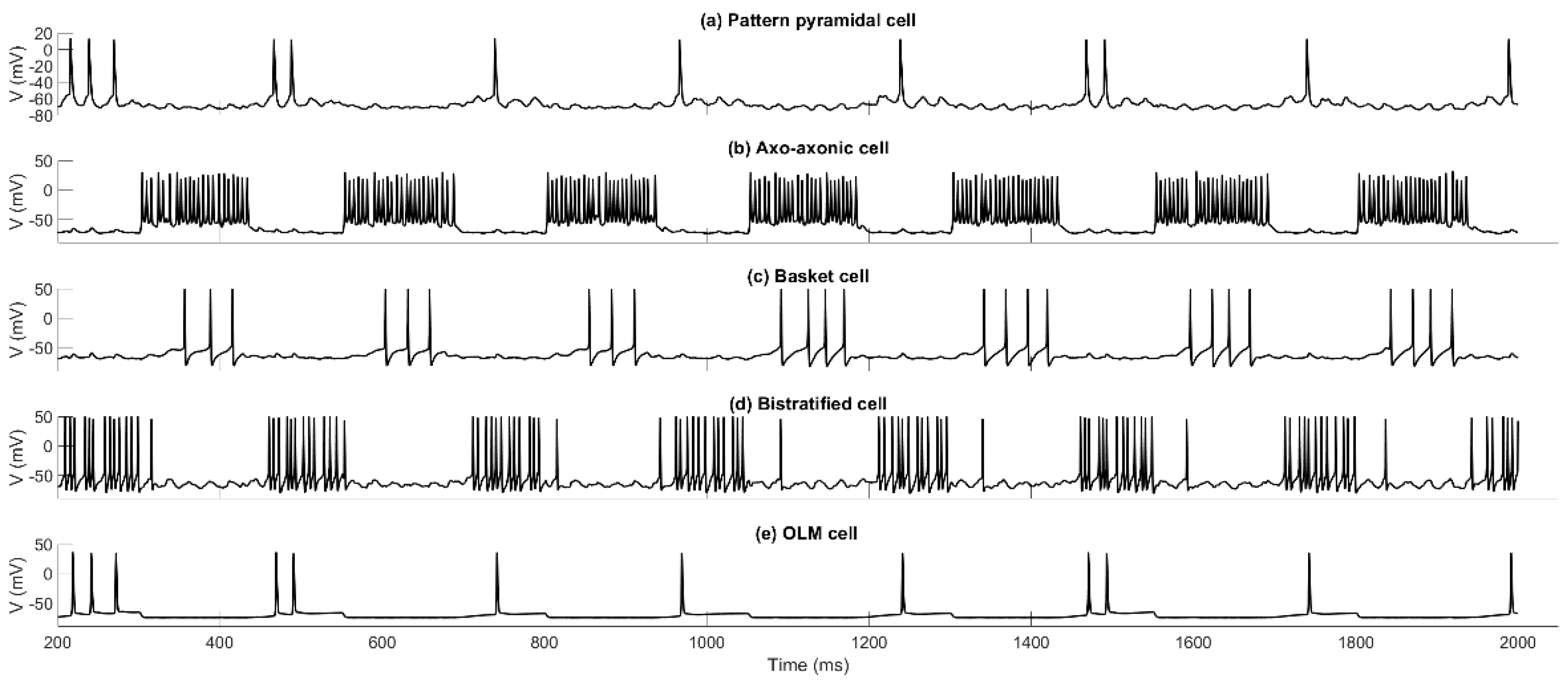 Brainsci 15 01219 g007