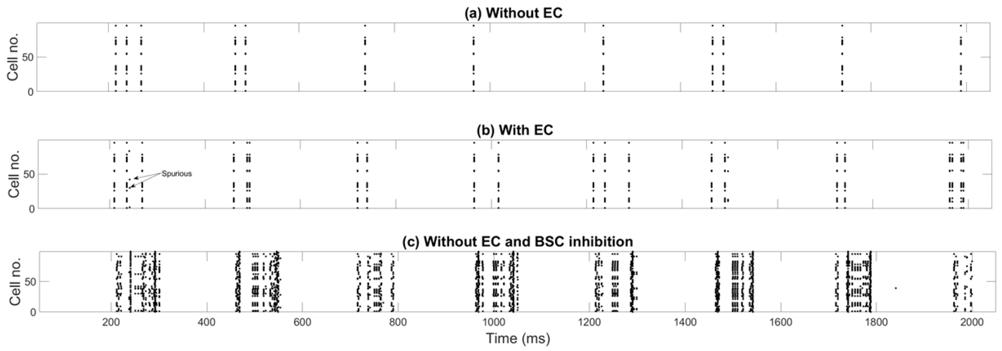 Brainsci 15 01219 g008