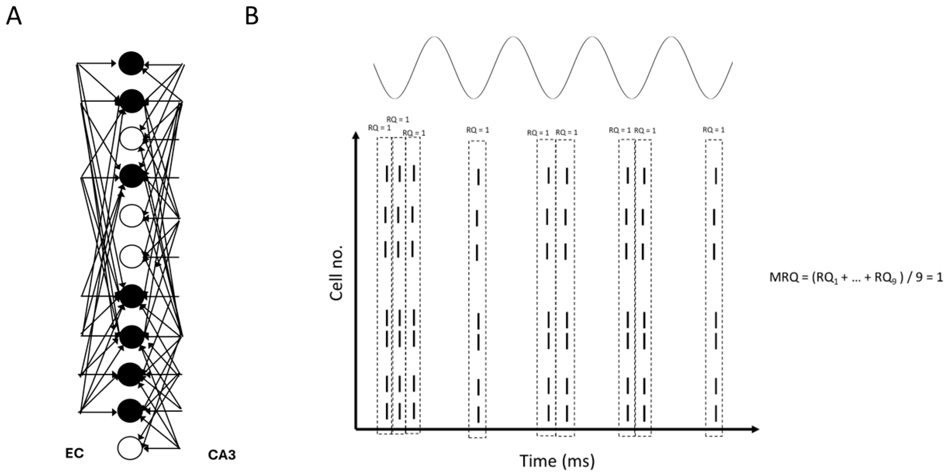 Brainsci 15 01219 g012