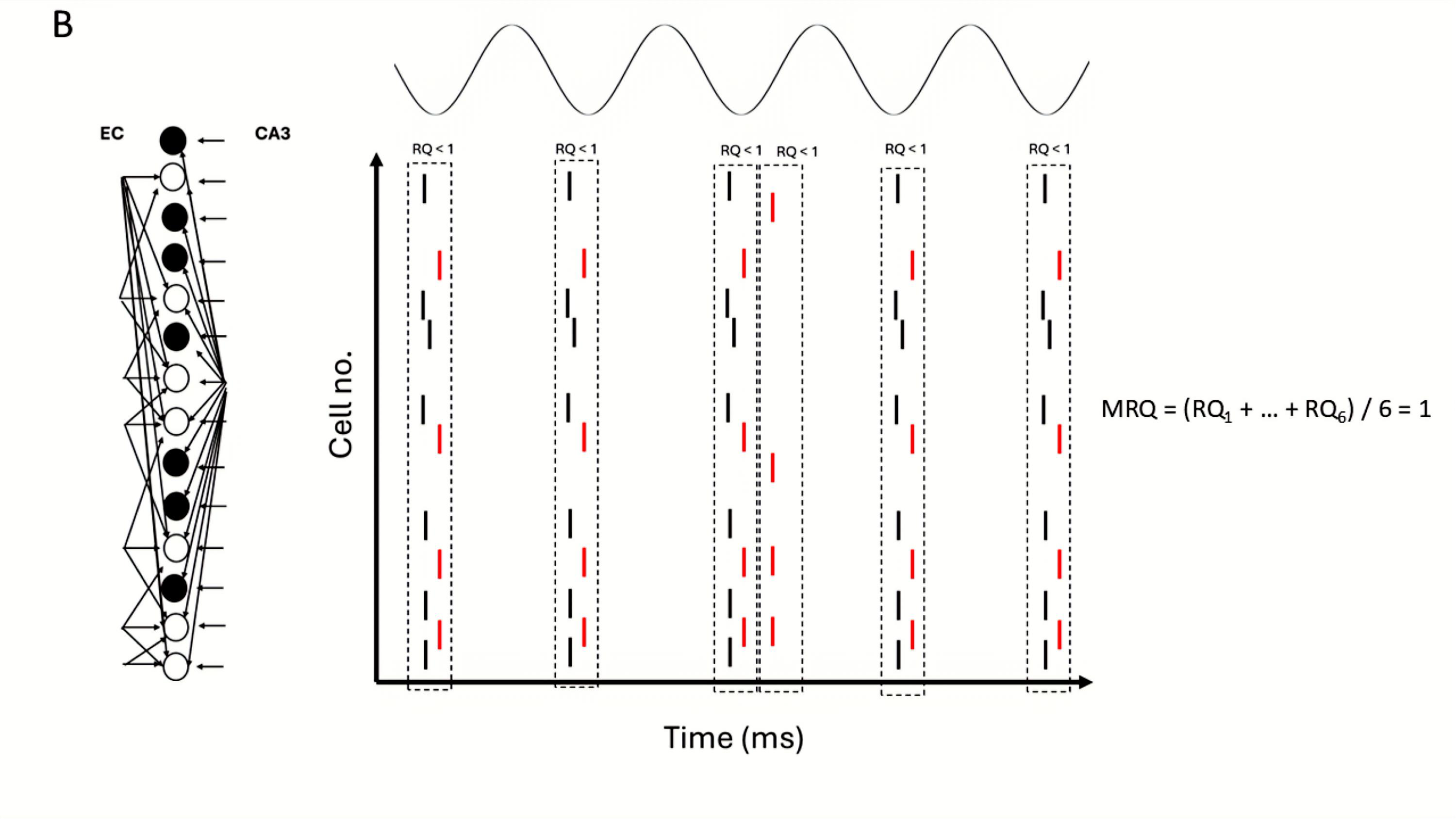 Brainsci 15 01219 g014b