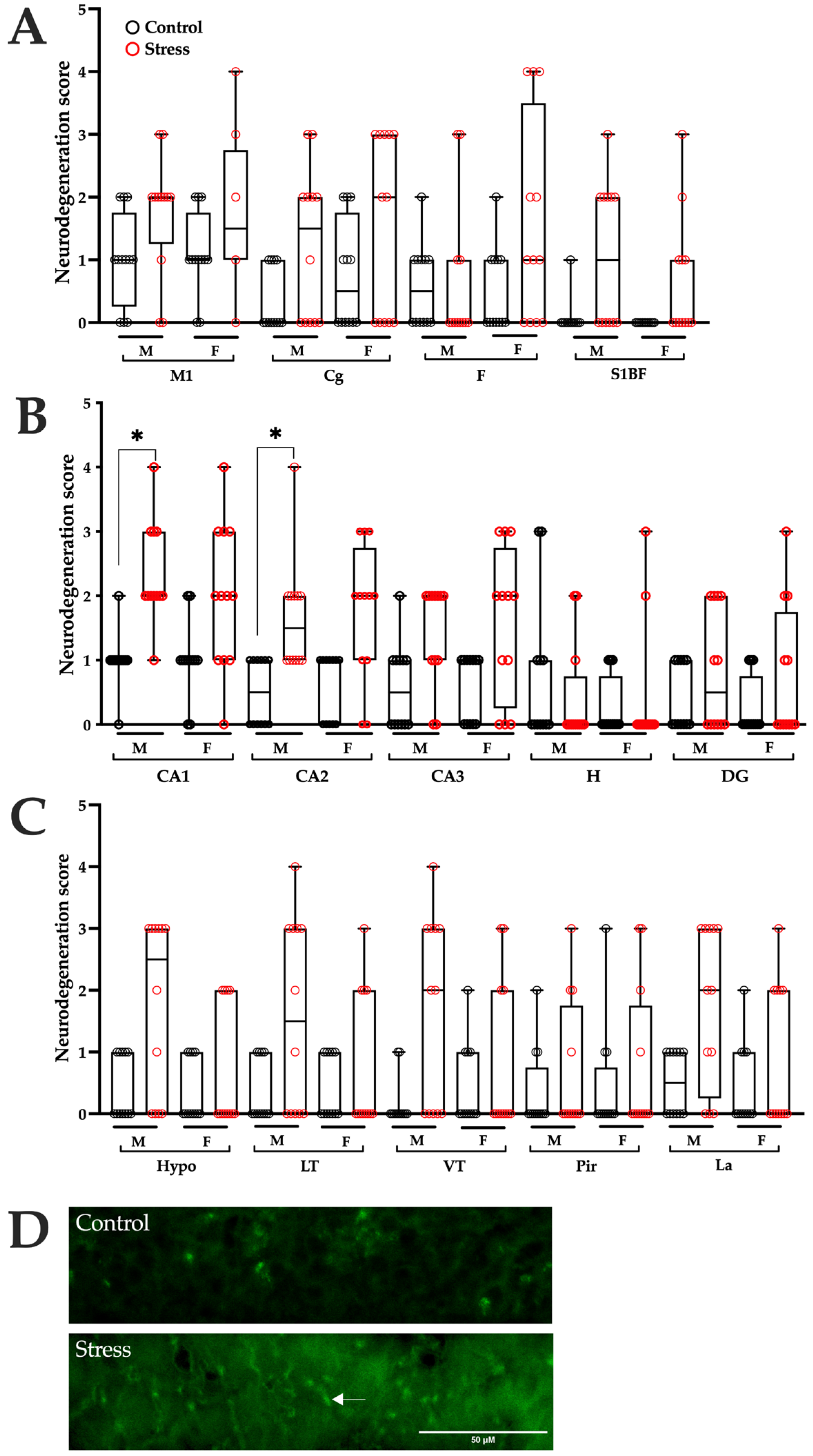 Brainsci 15 01220 g004
