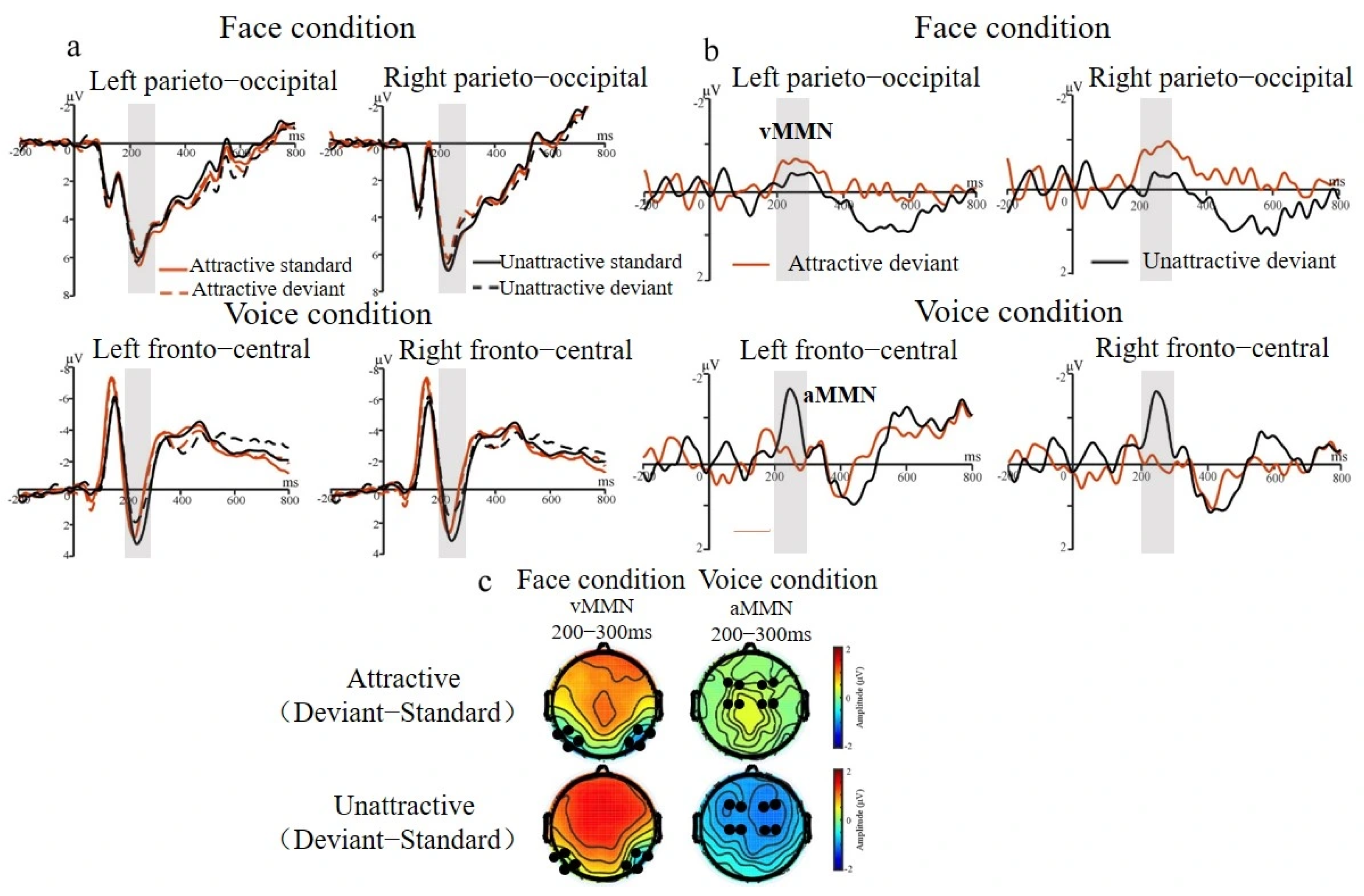 Brainsci 15 01226 g003 Brainsci 15 01226 g003