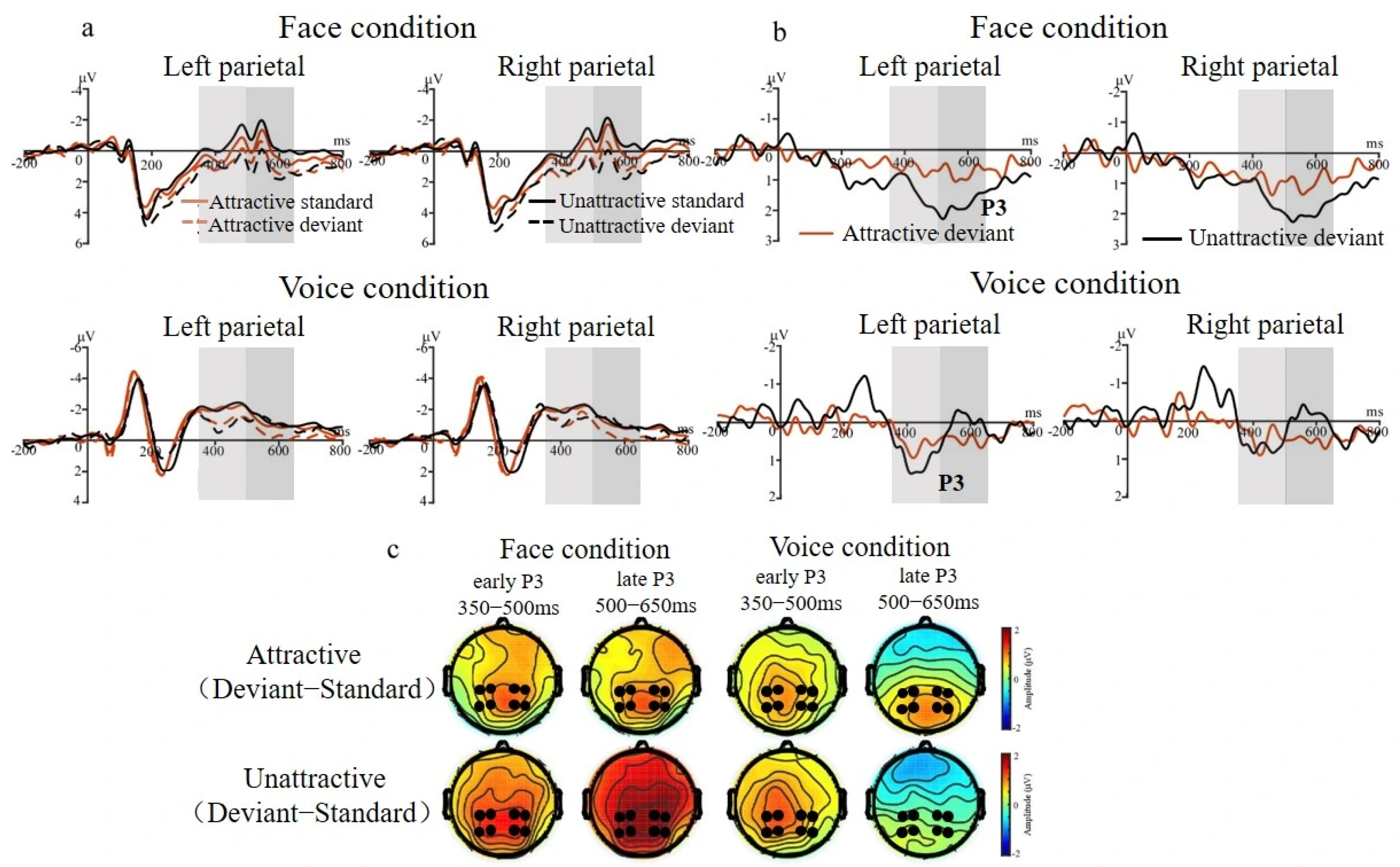 Brainsci 15 01226 g005 Brainsci 15 01226 g005