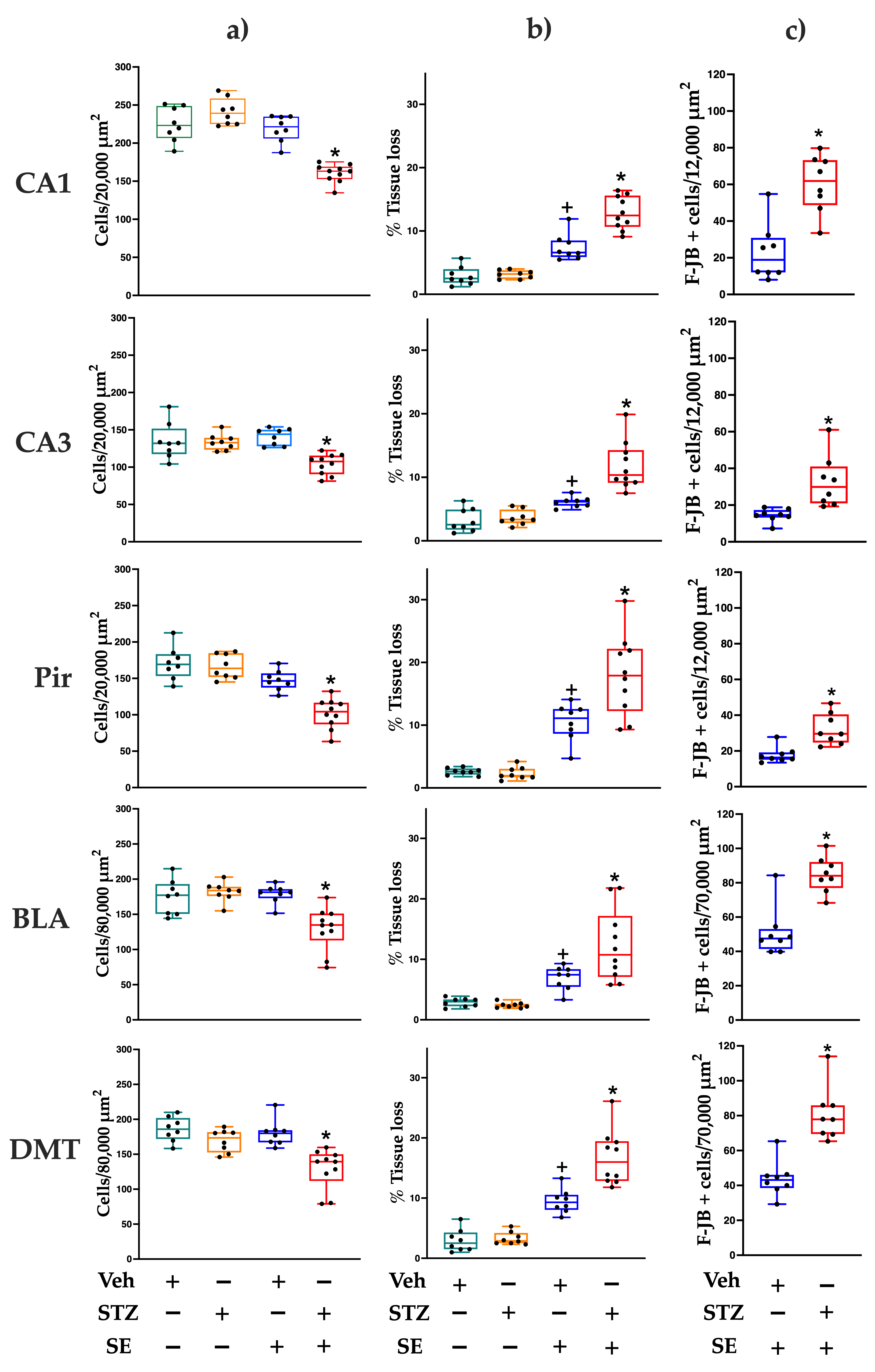 Brainsci 15 01227 g001 Brainsci 15 01227 g001