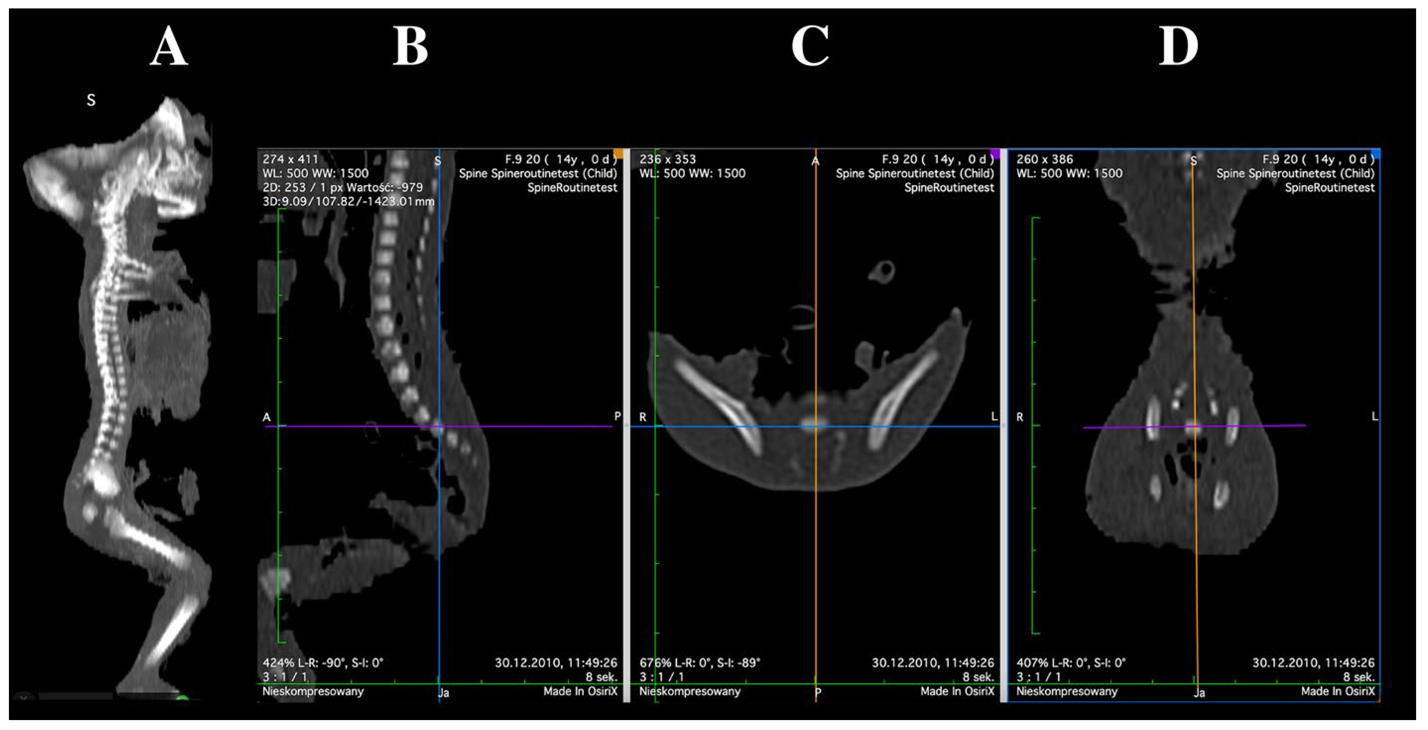 Brainsci 15 01229 g001