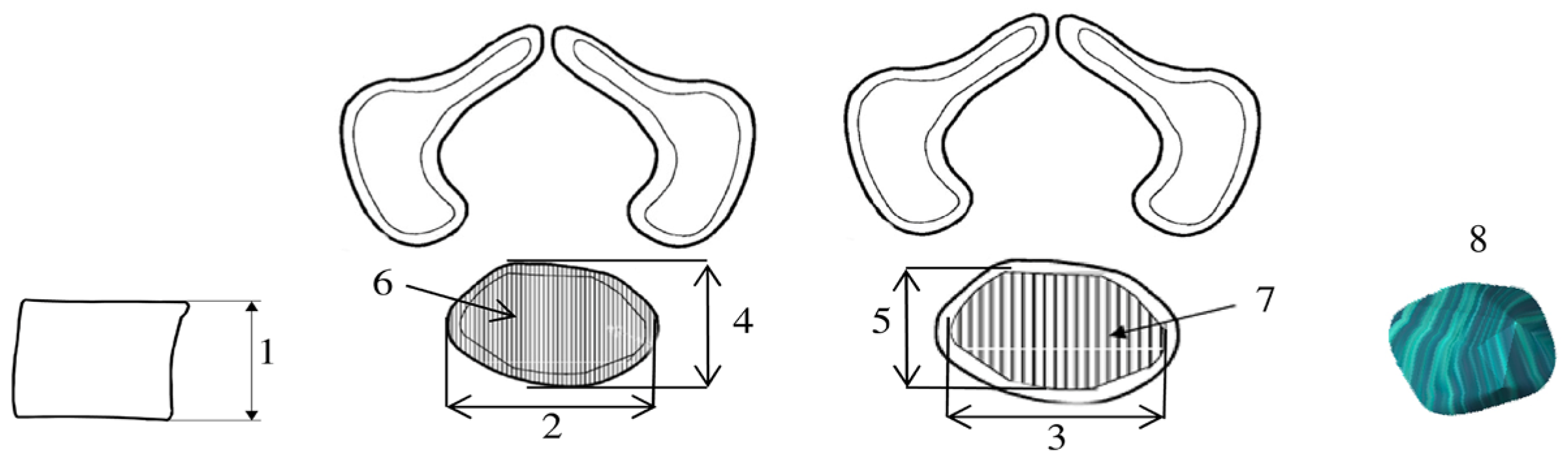 Brainsci 15 01229 g002