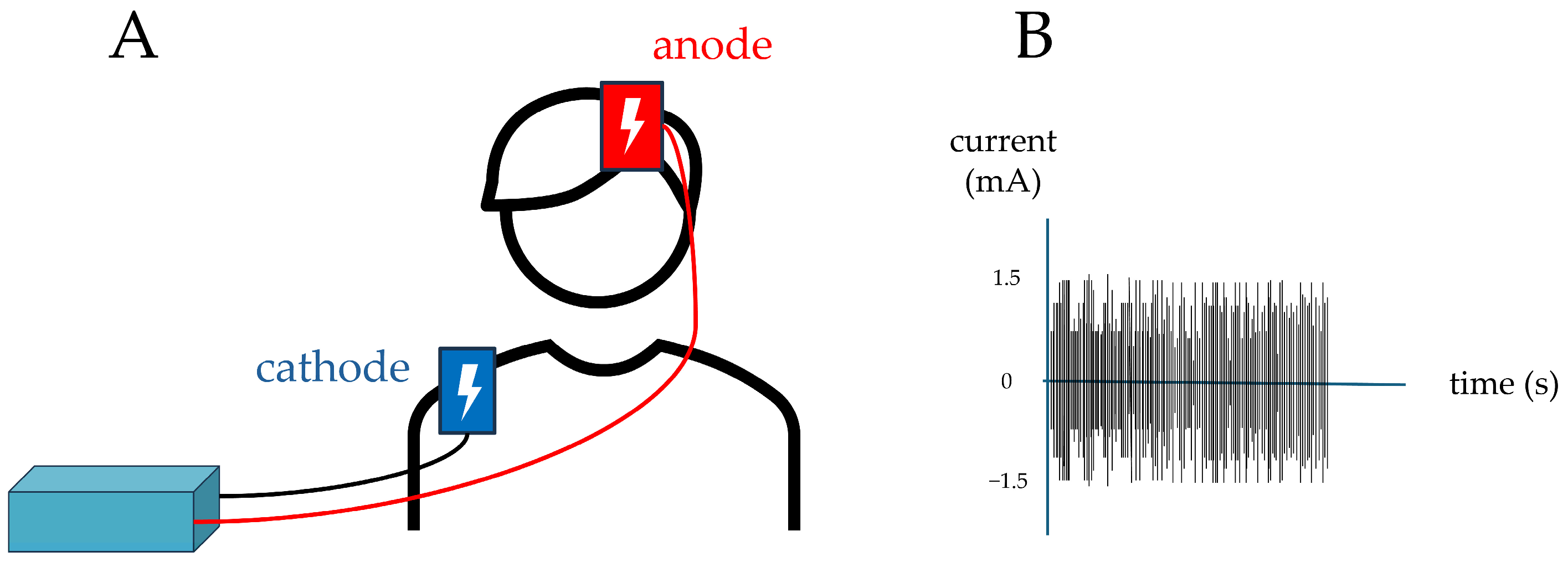 Brainsci 15 01232 g001