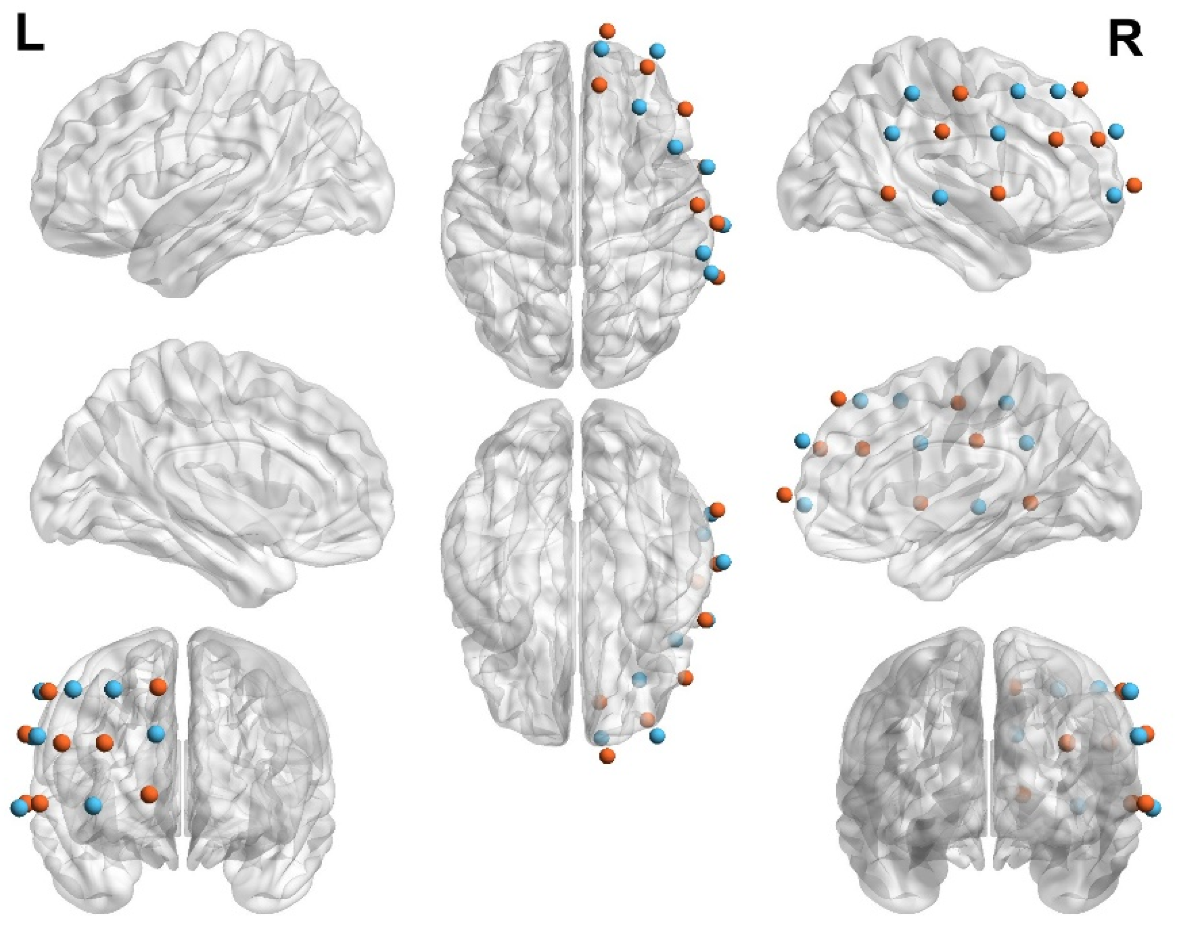 Brainsci 15 01235 g002
