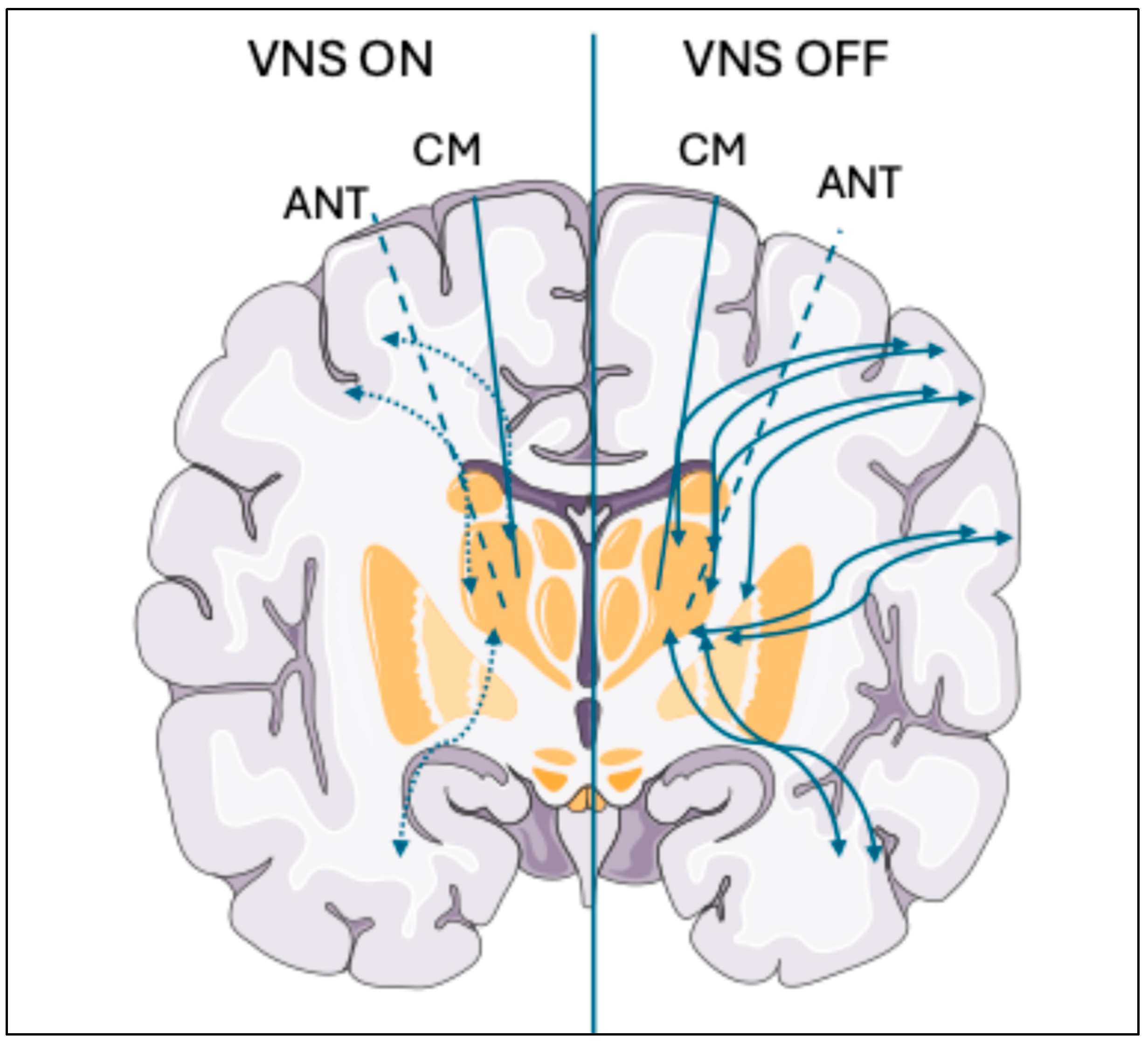 Brainsci 15 01236 g003