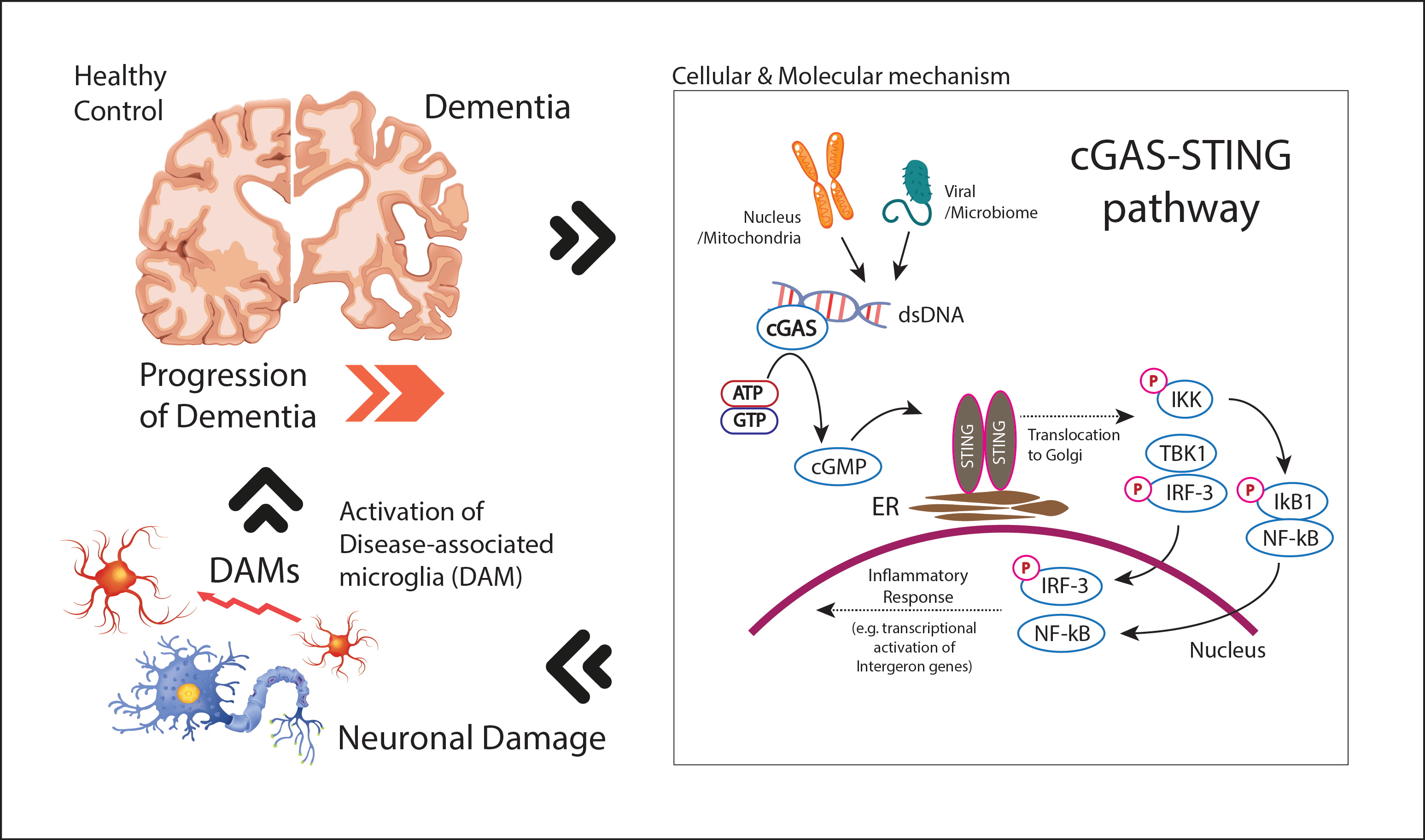 Brainsci 15 01241 g001 Brainsci 15 01241 g001