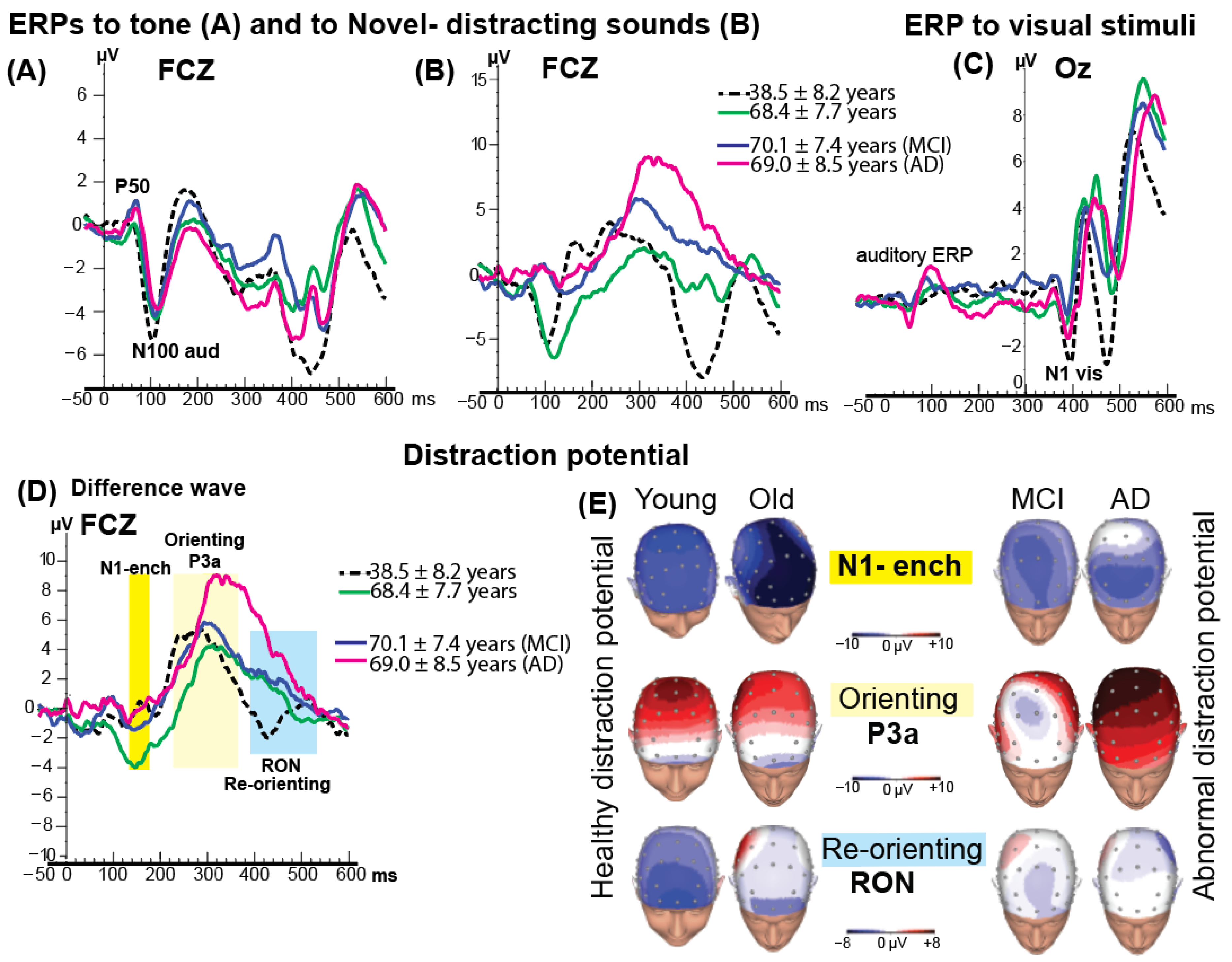 Brainsci 15 01242 g003