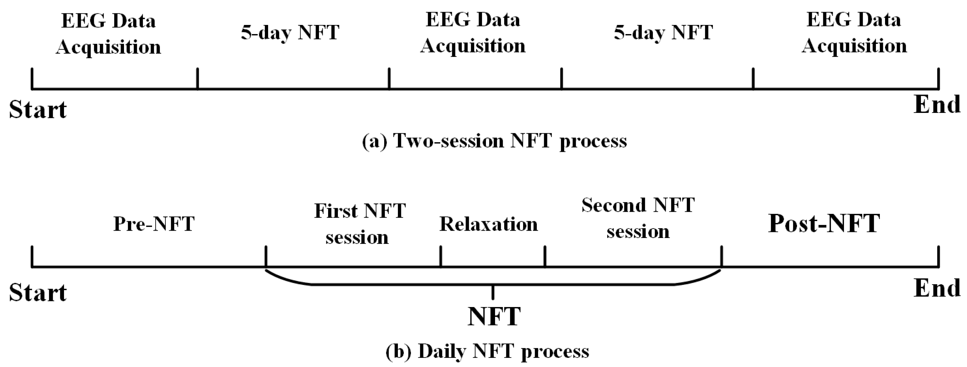 Brainsci 15 01243 g001