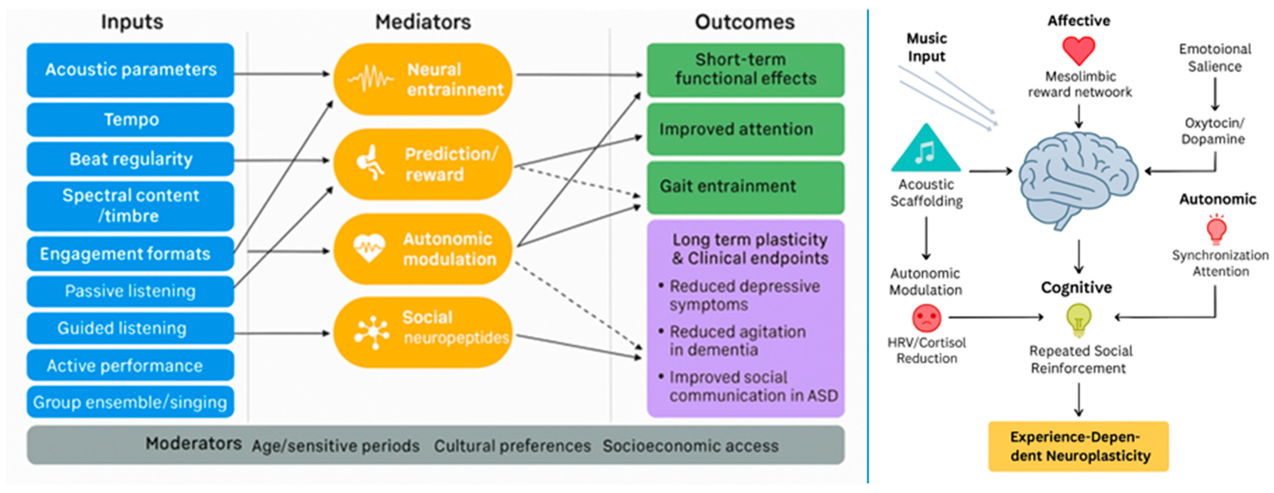 Brainsci 15 01248 g002
