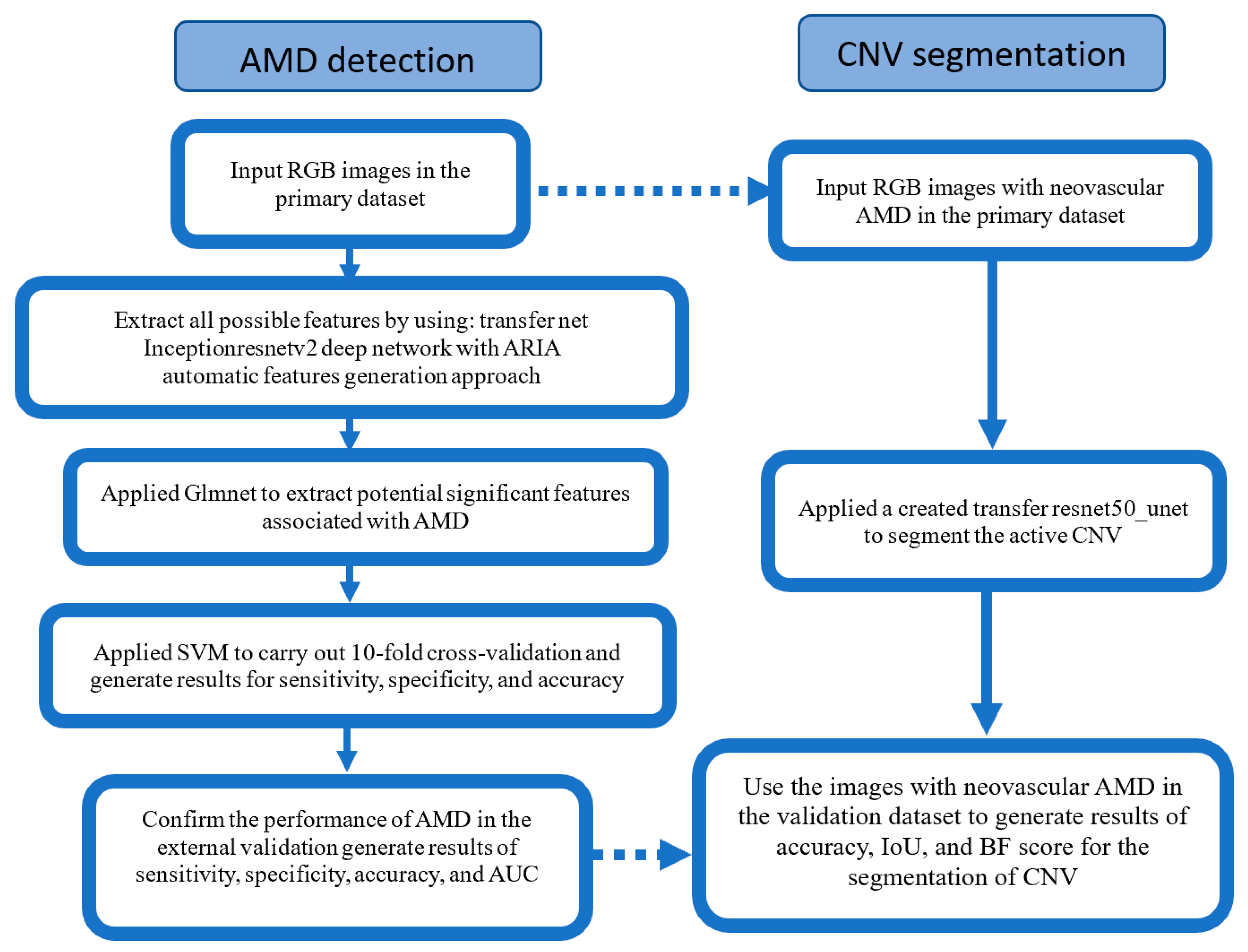 Brainsci 15 01249 g001