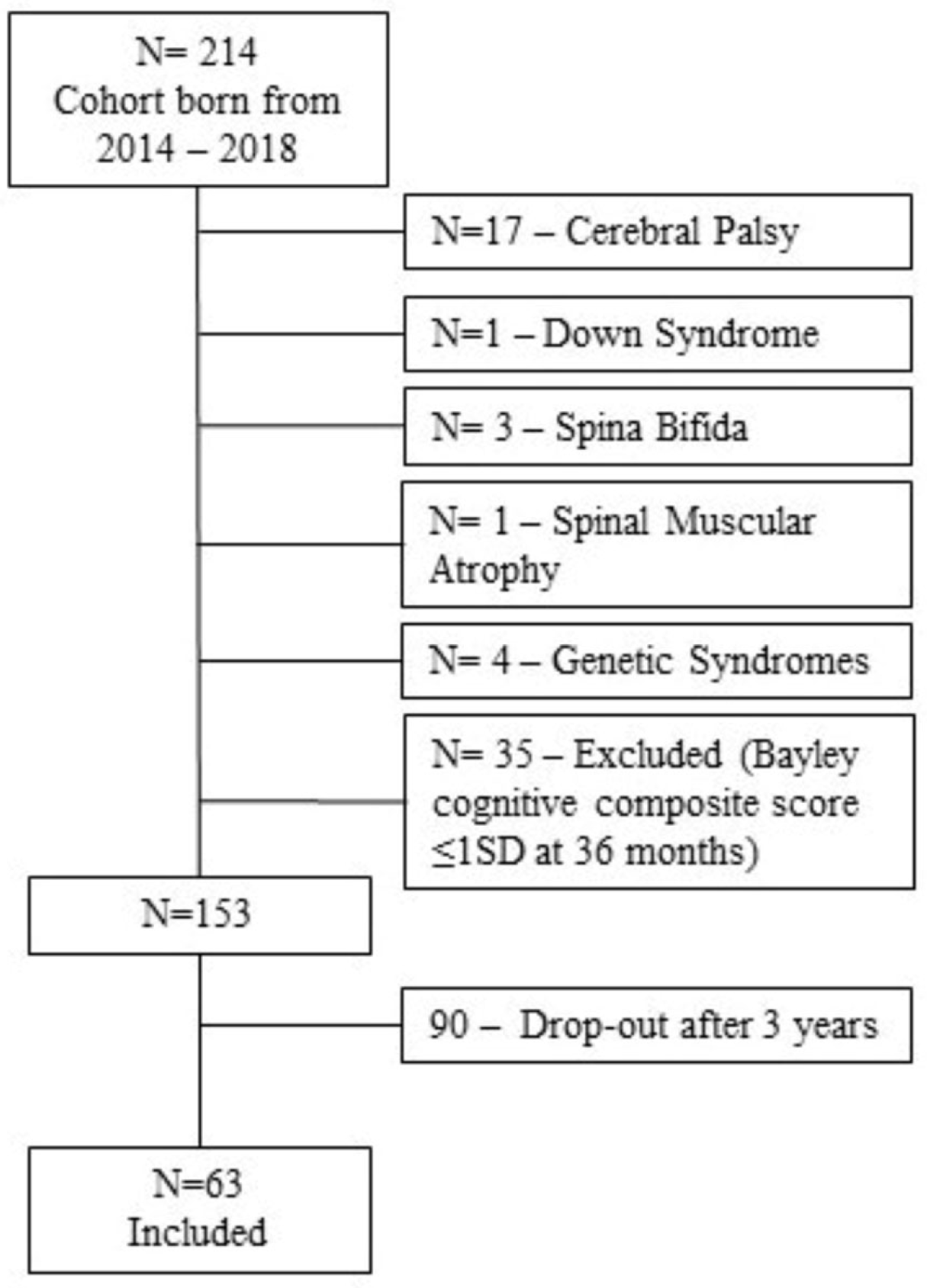 Brainsci 15 01250 g001