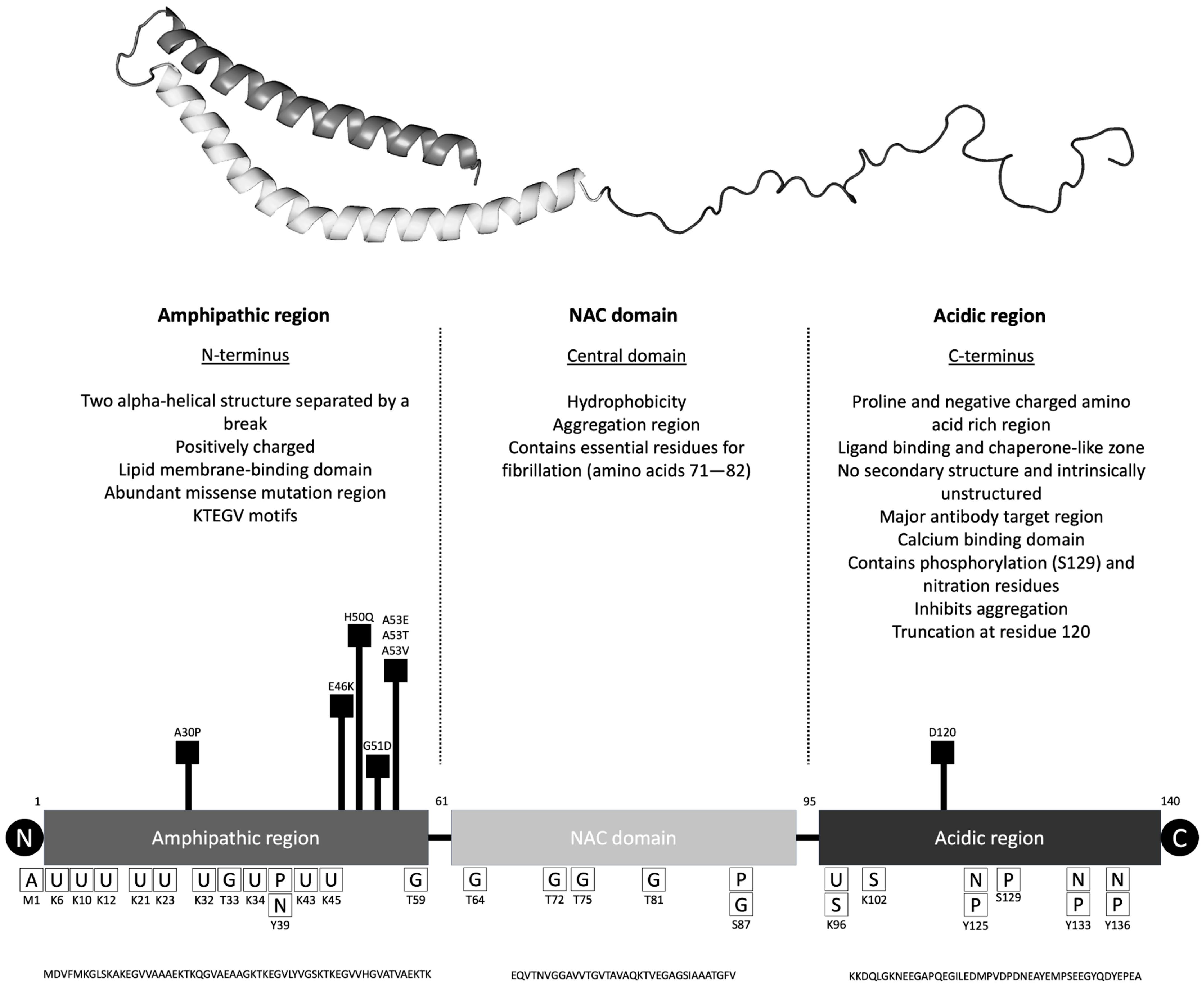 Brainsci 15 01260 g001