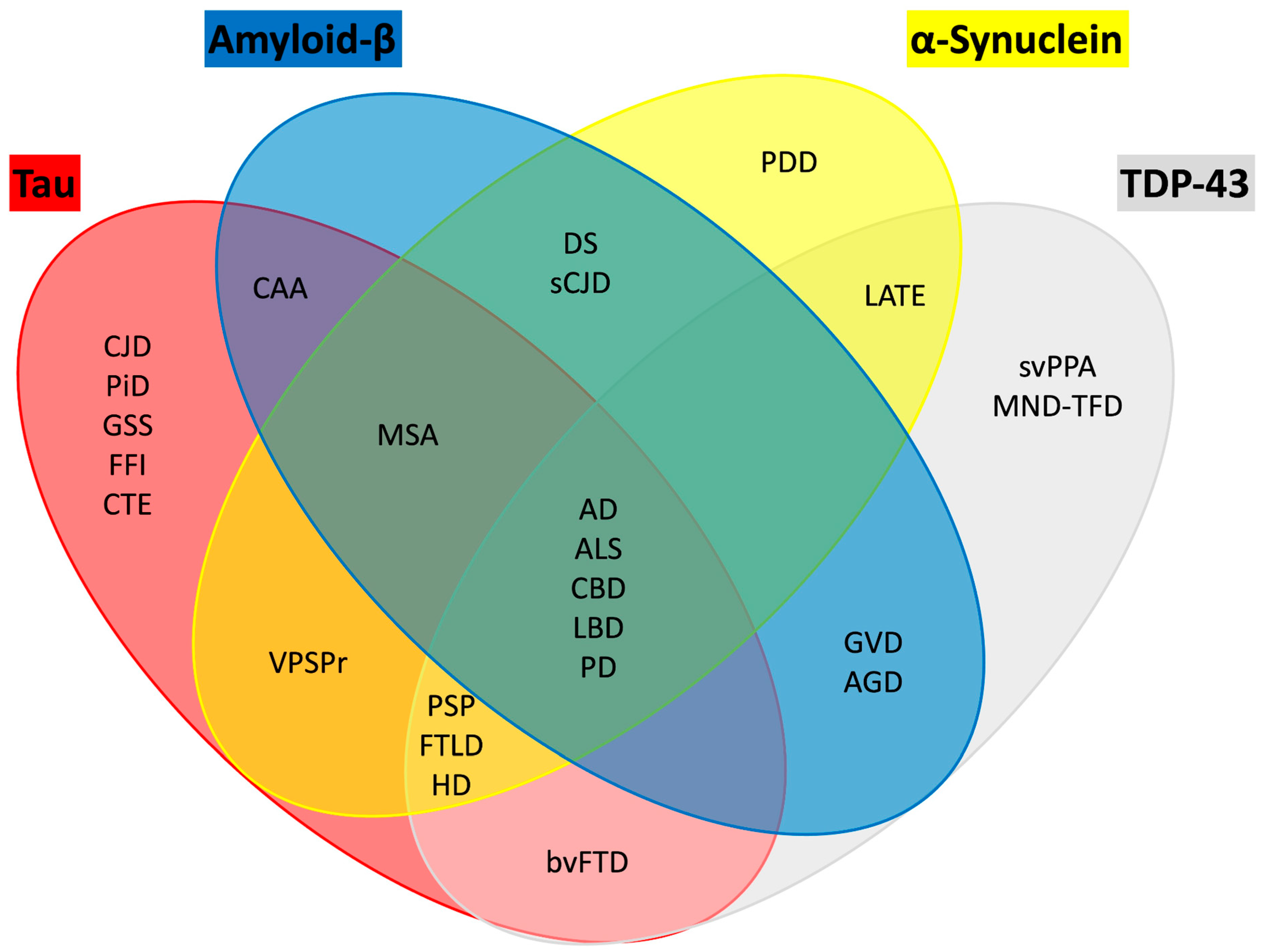 Brainsci 15 01260 g004