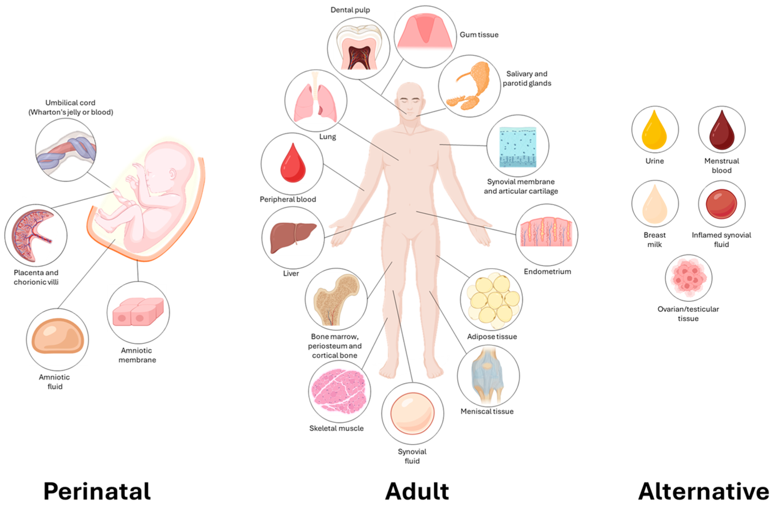 Brainsci 15 01263 g002