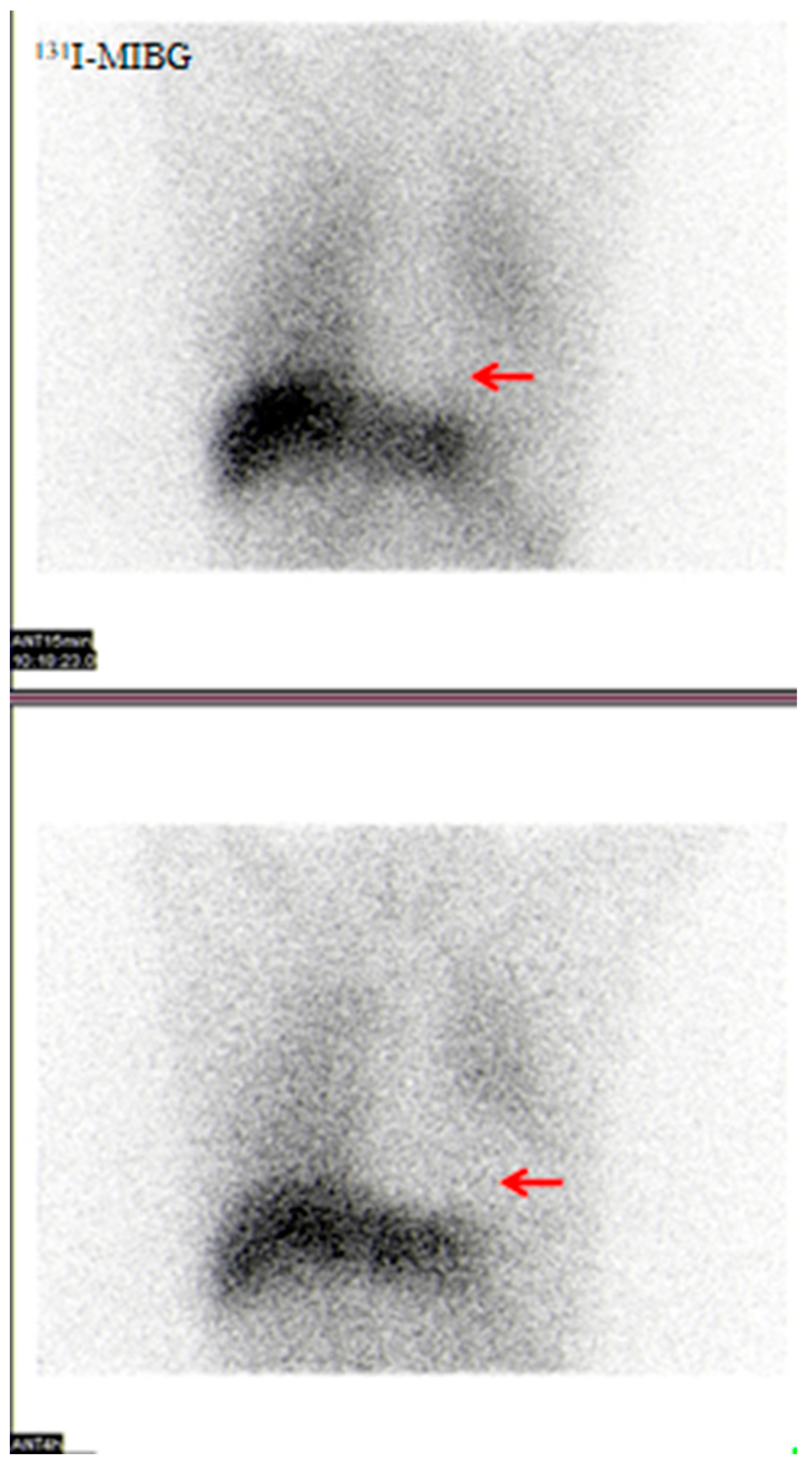 Brainsci 15 01264 g007