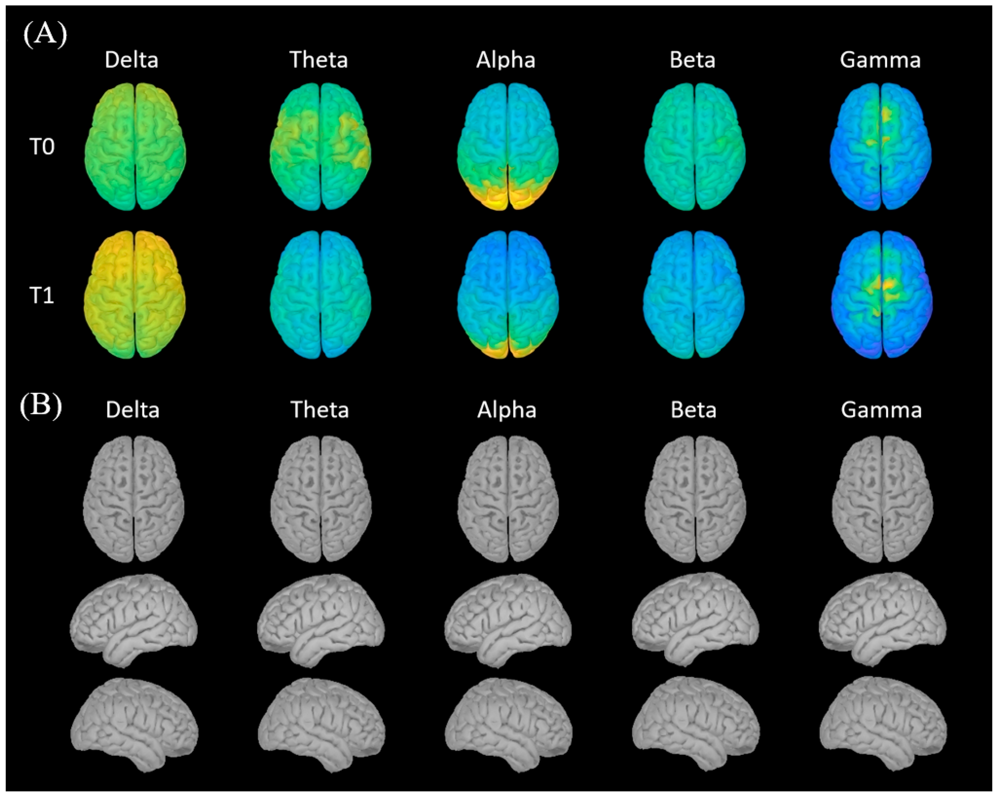 Brainsci 15 01268 g002