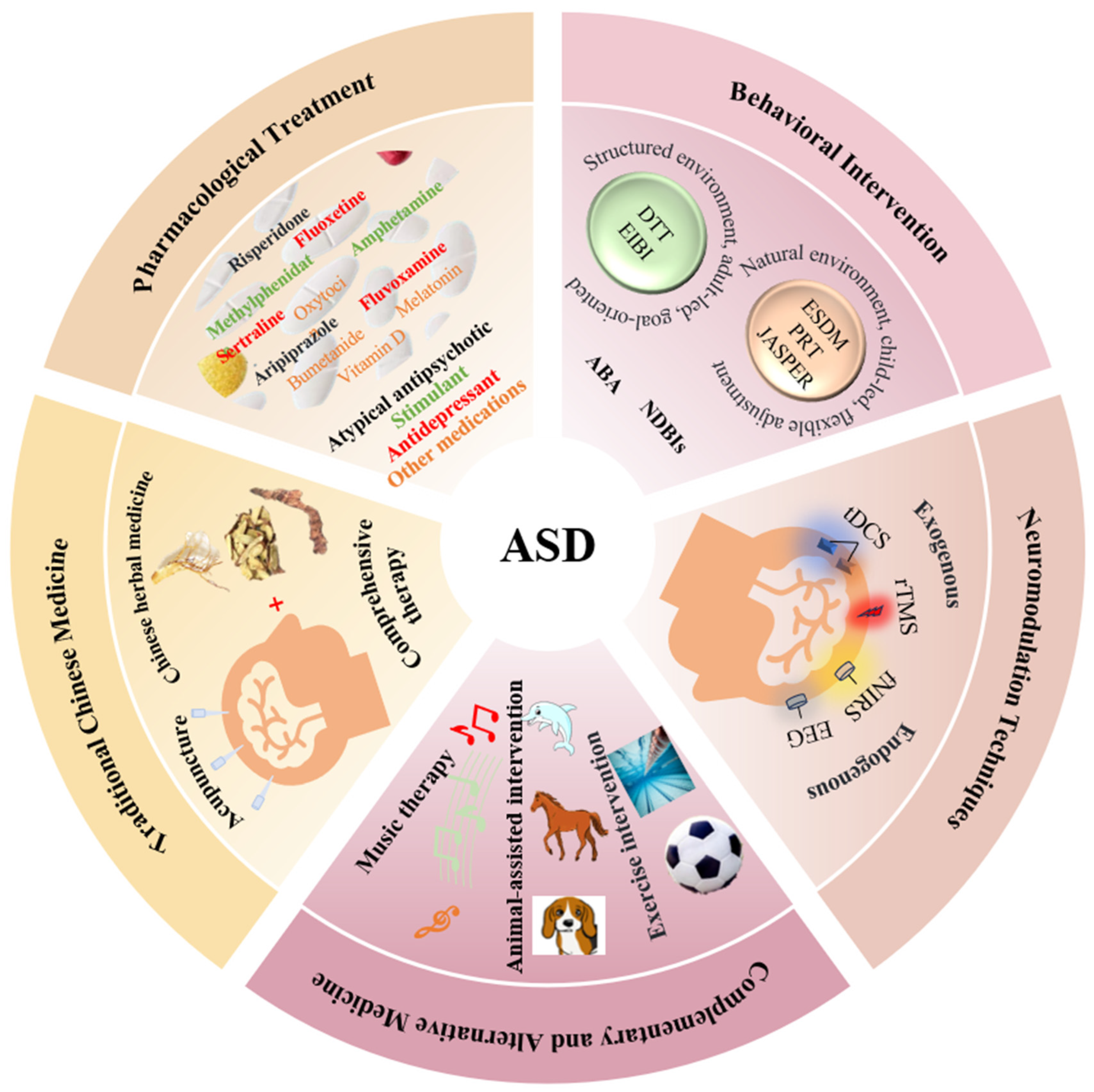 Brainsci 15 01280 g001 Brainsci 15 01280 g001