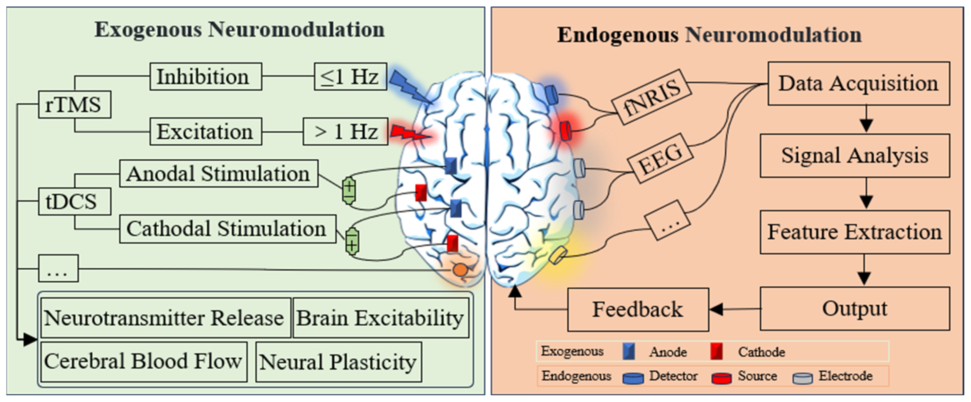 Brainsci 15 01280 g002 Brainsci 15 01280 g002
