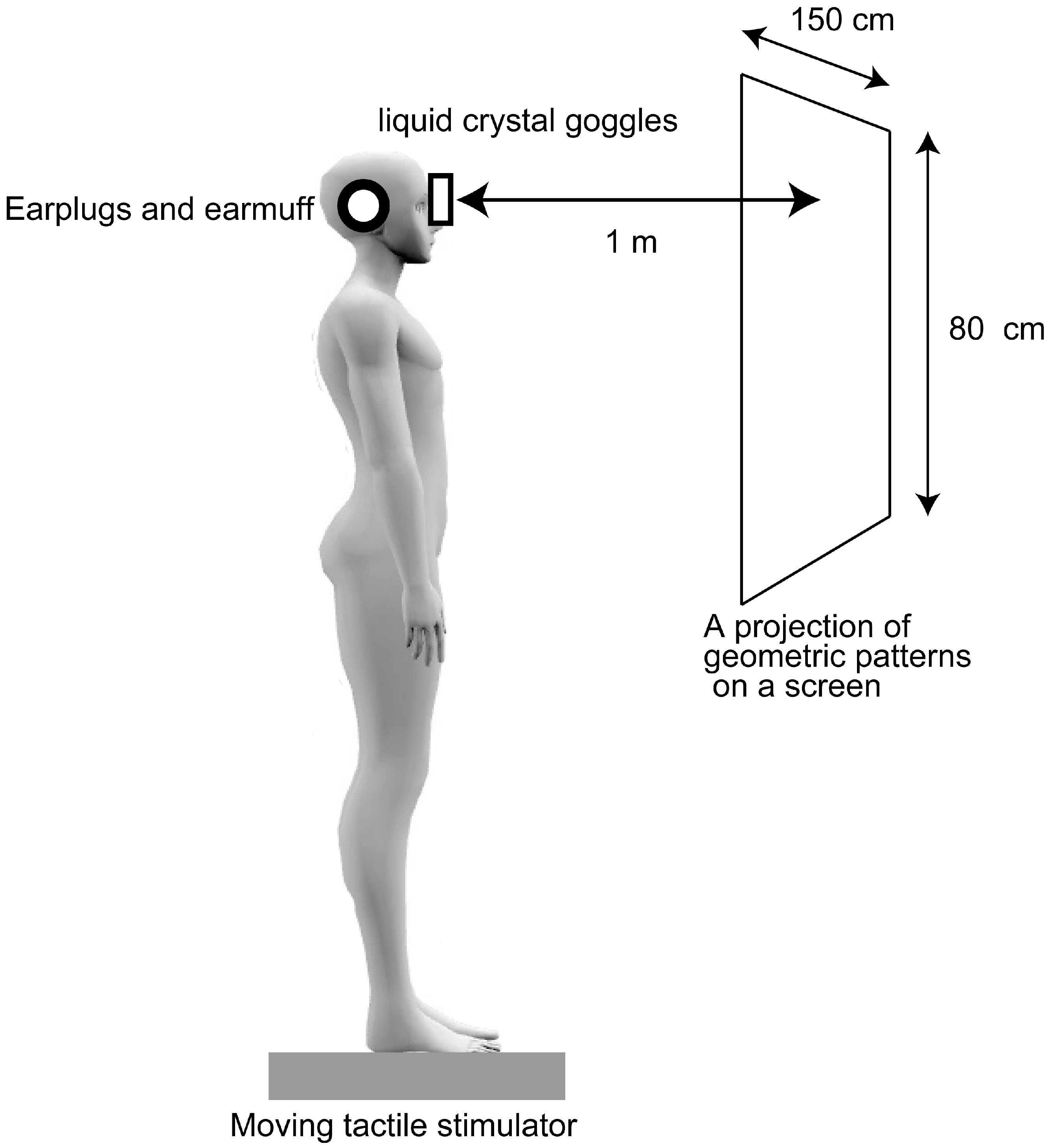 Brainsci 15 01282 g001 Brainsci 15 01282 g001