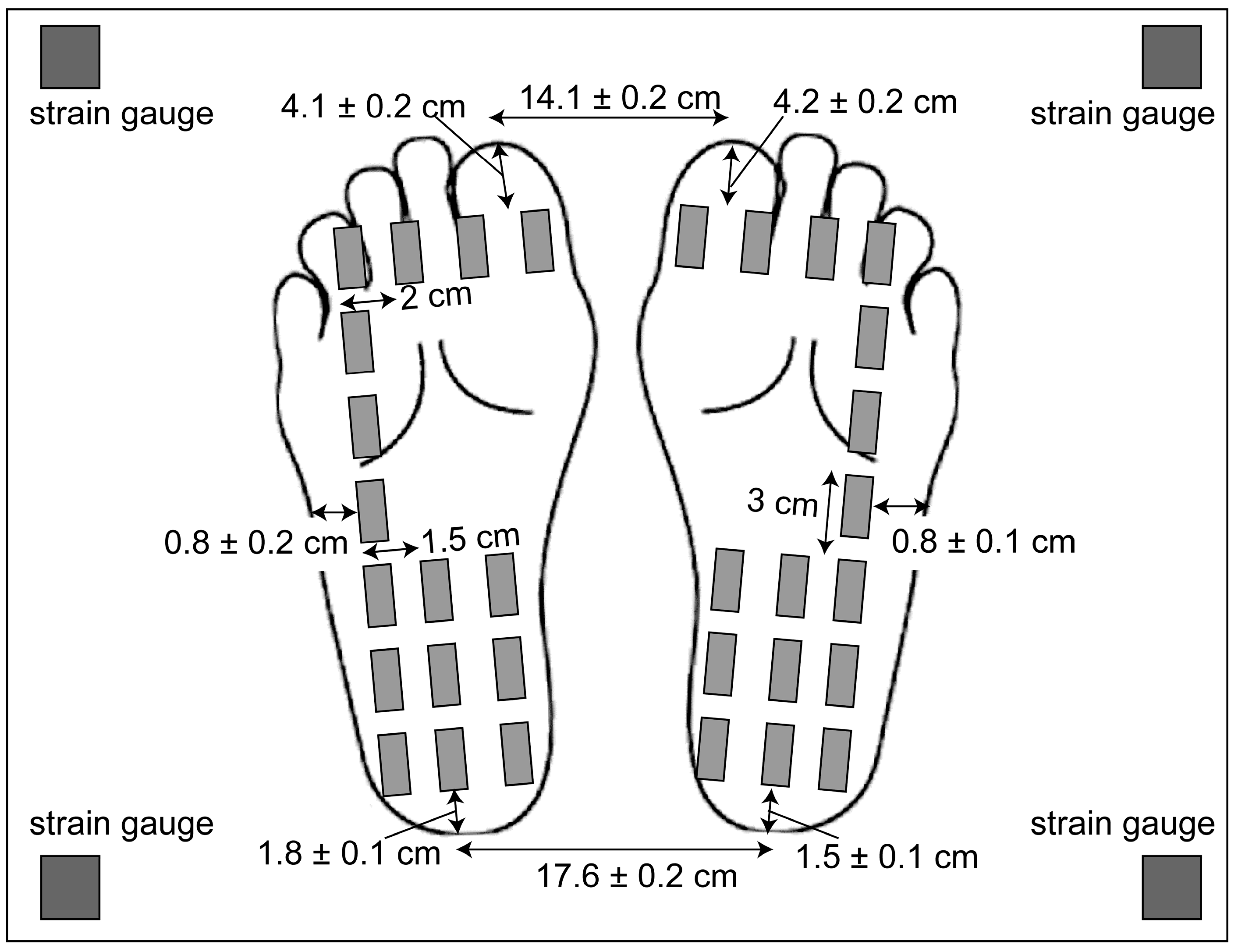 Brainsci 15 01282 g002 Brainsci 15 01282 g002