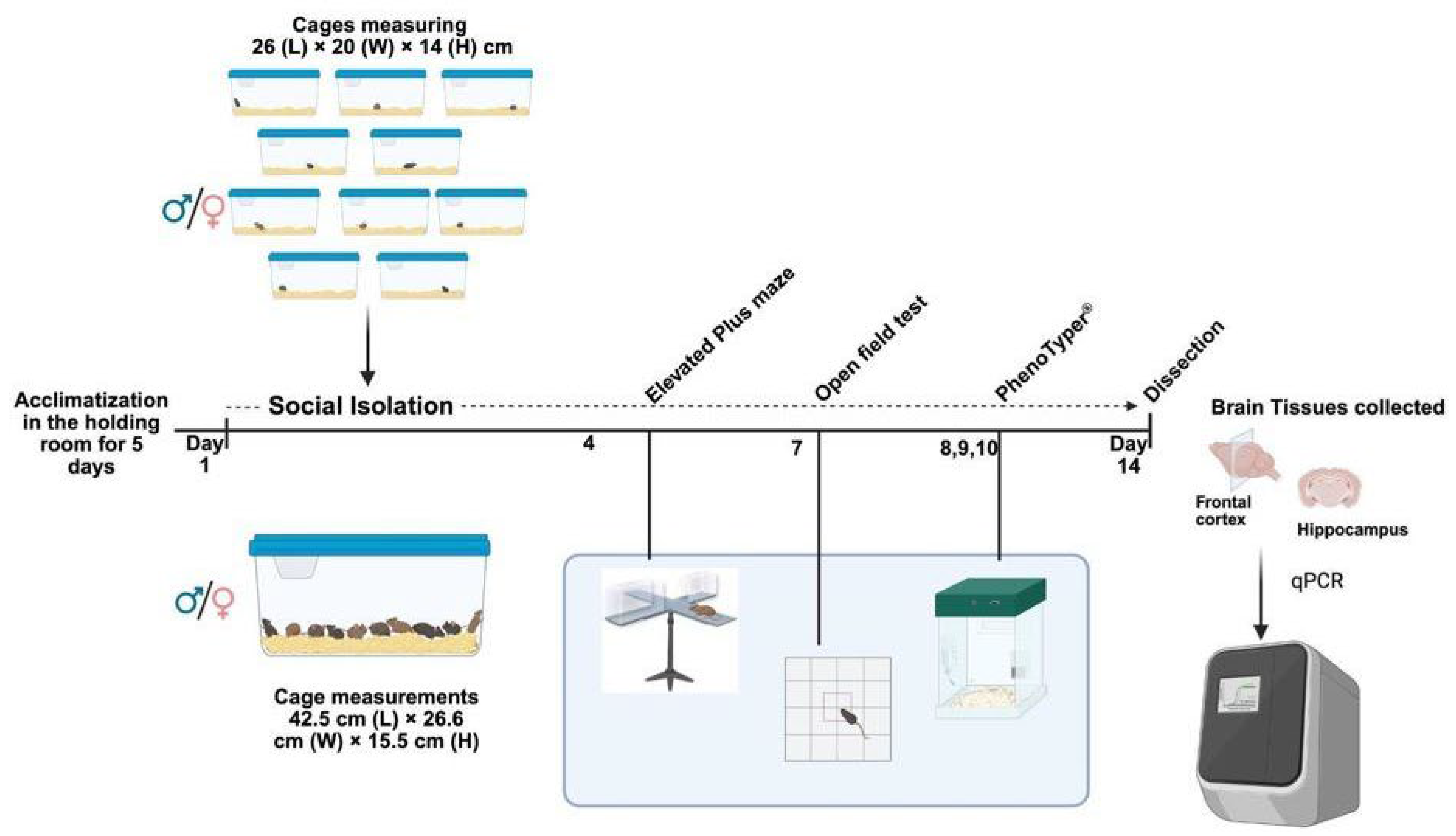 Brainsci 15 01286 g001