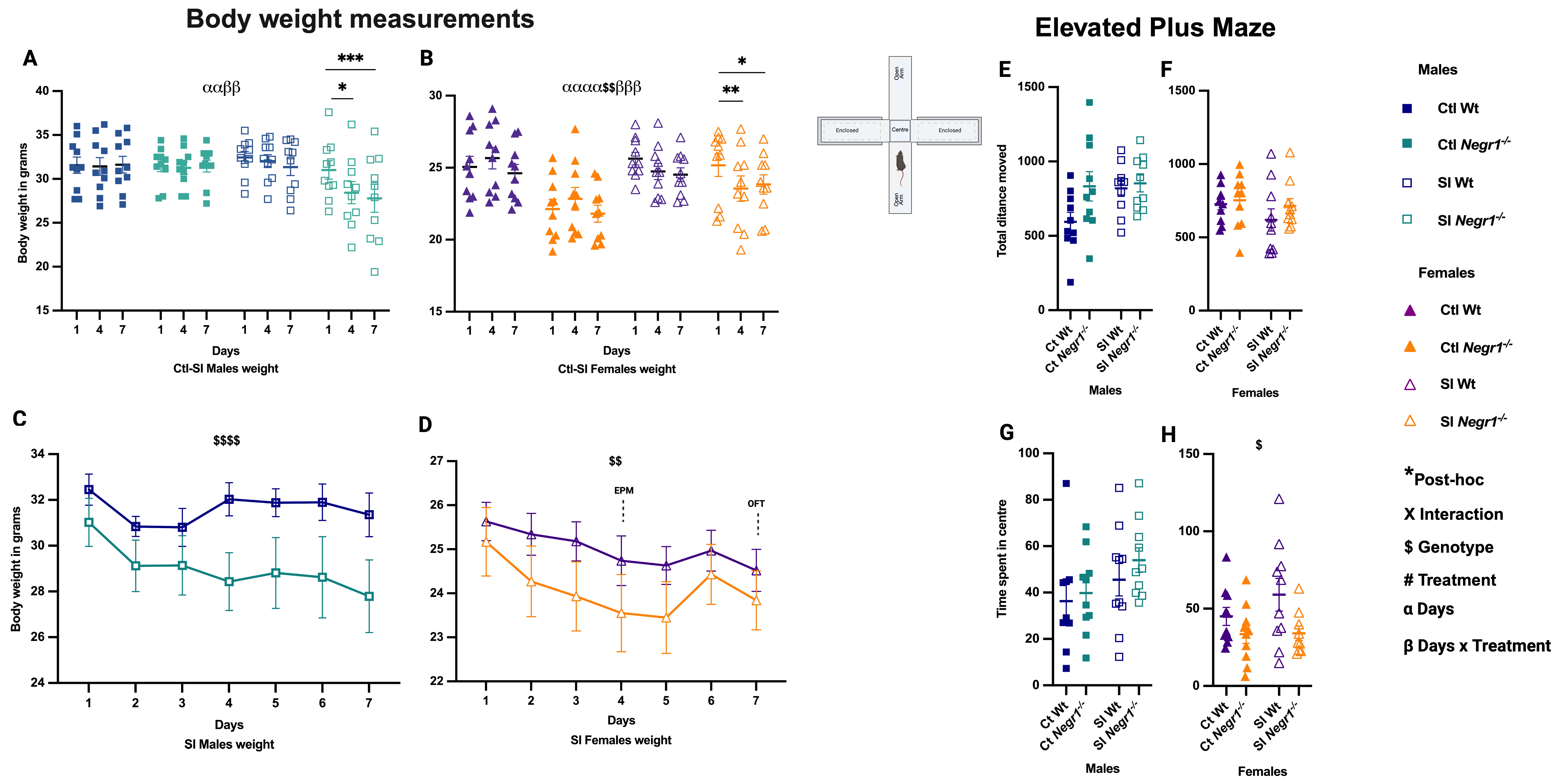 Brainsci 15 01286 g002