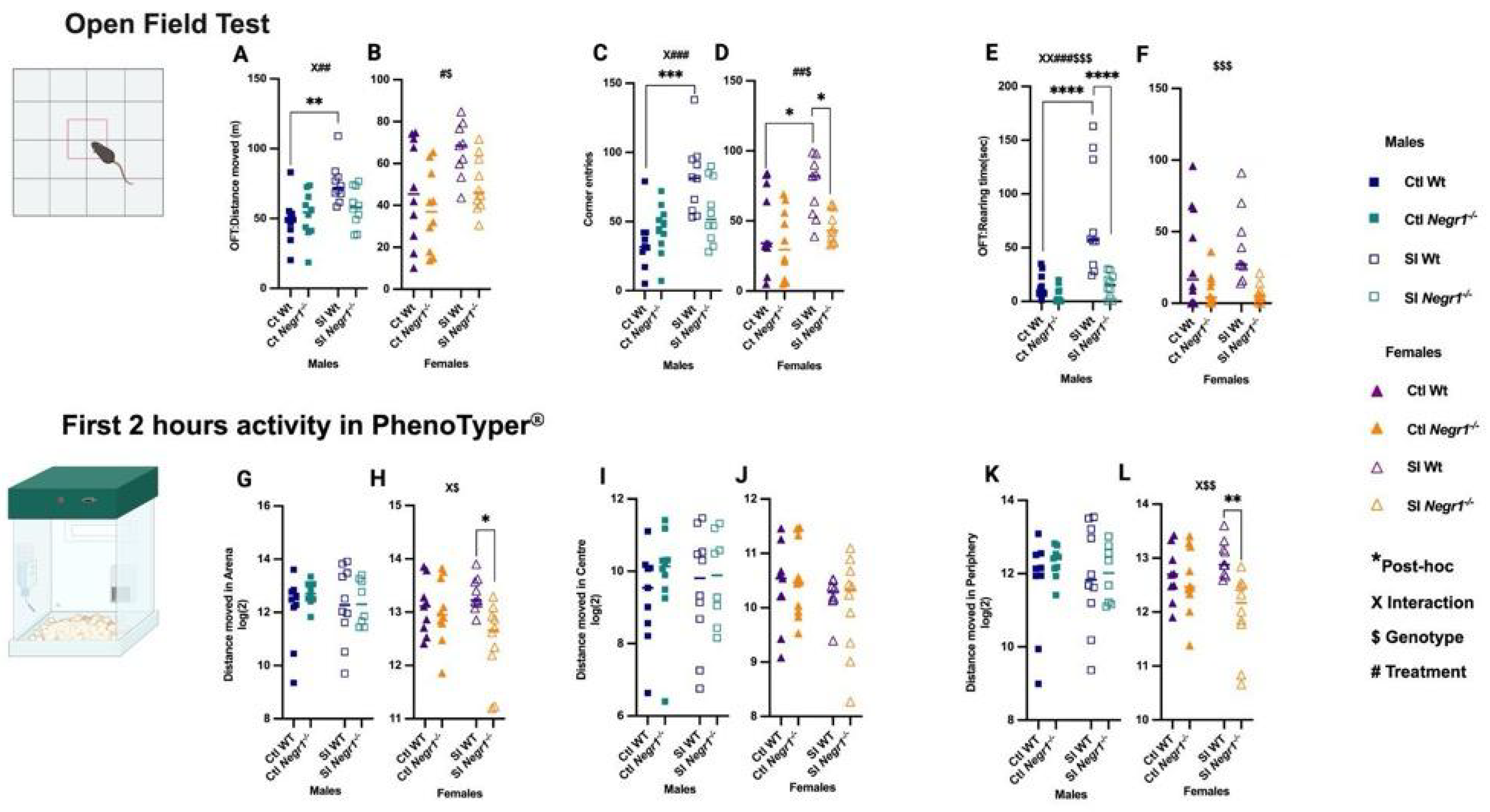 Brainsci 15 01286 g003