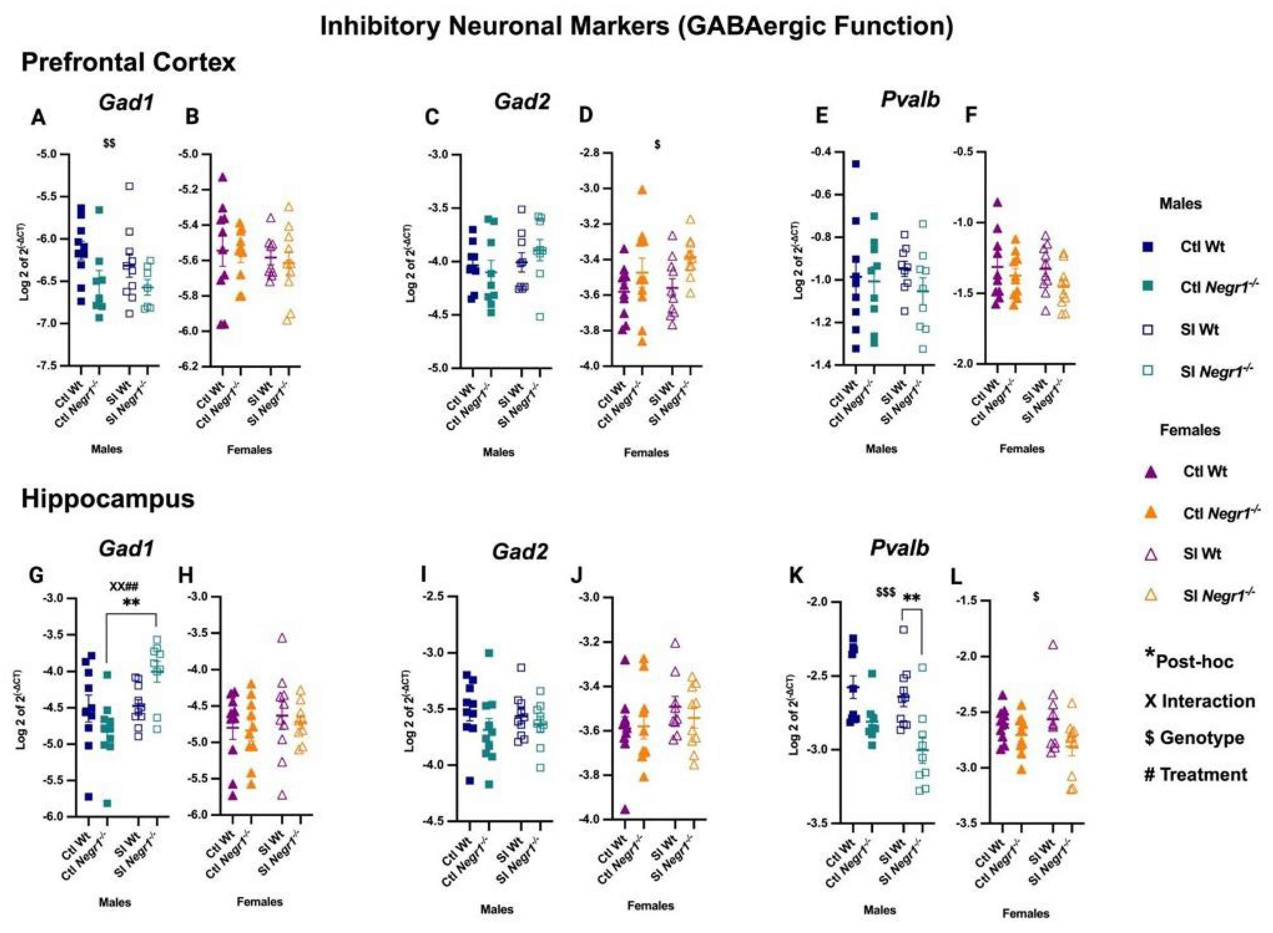 Brainsci 15 01286 g004