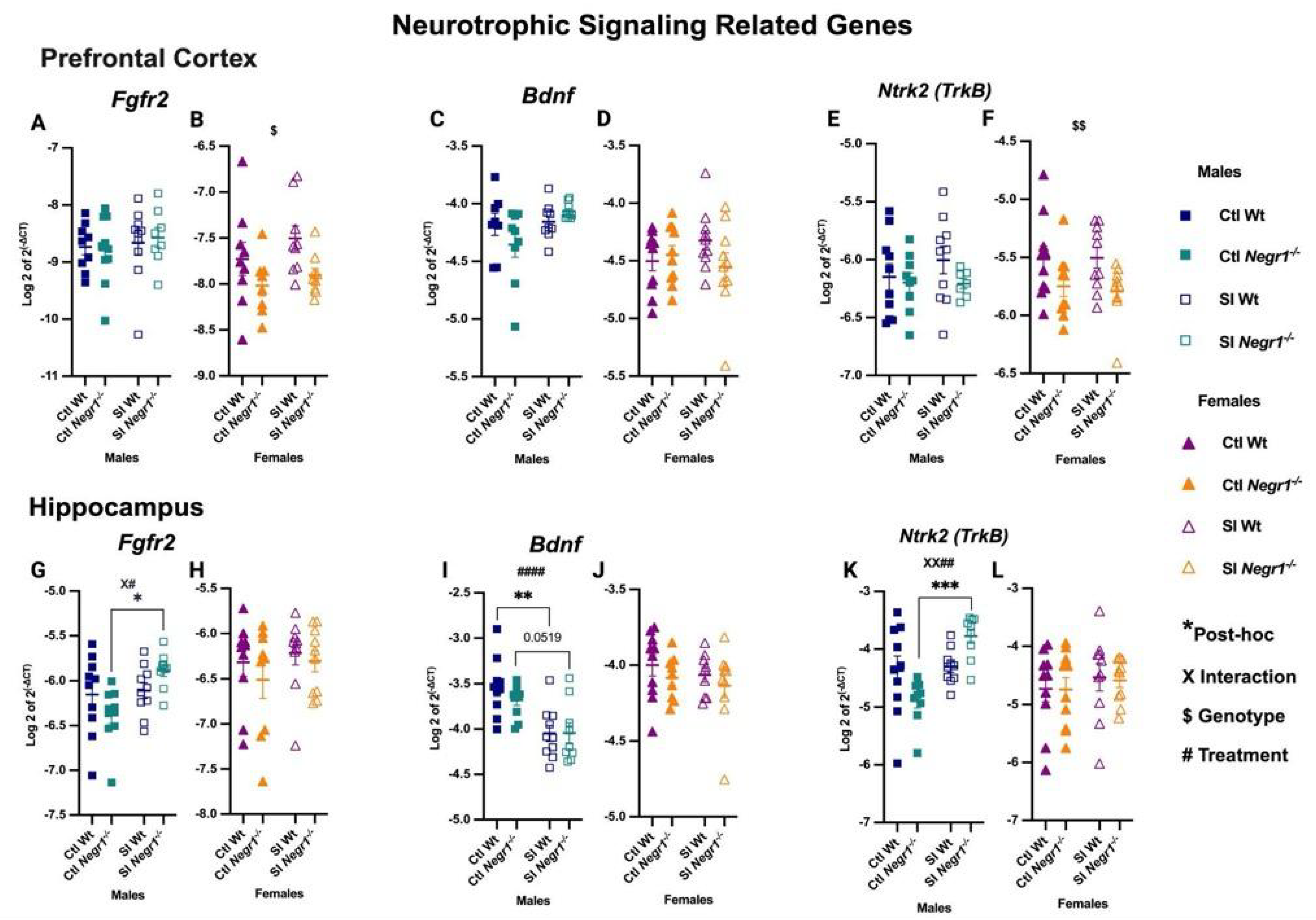 Brainsci 15 01286 g005