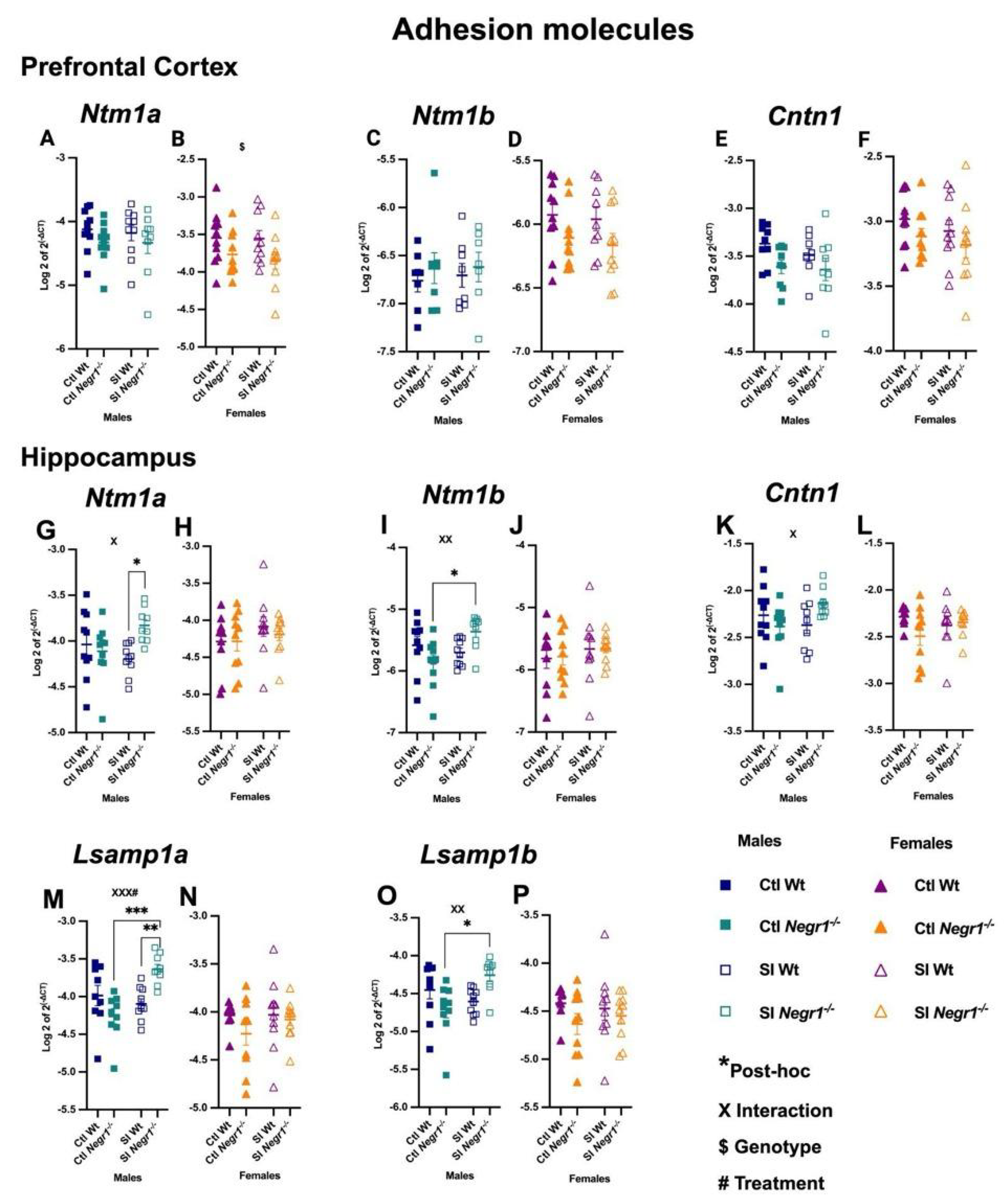 Brainsci 15 01286 g006