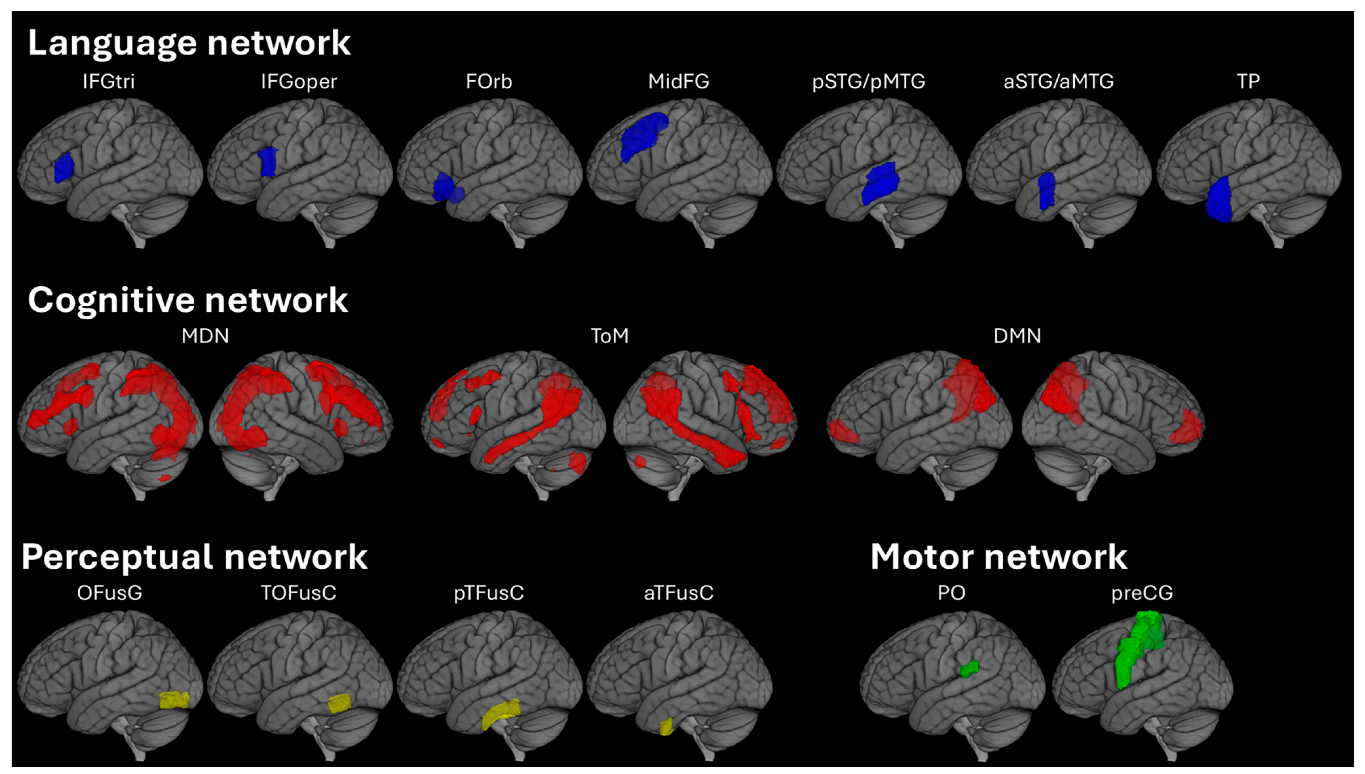 Brainsci 15 01287 g001