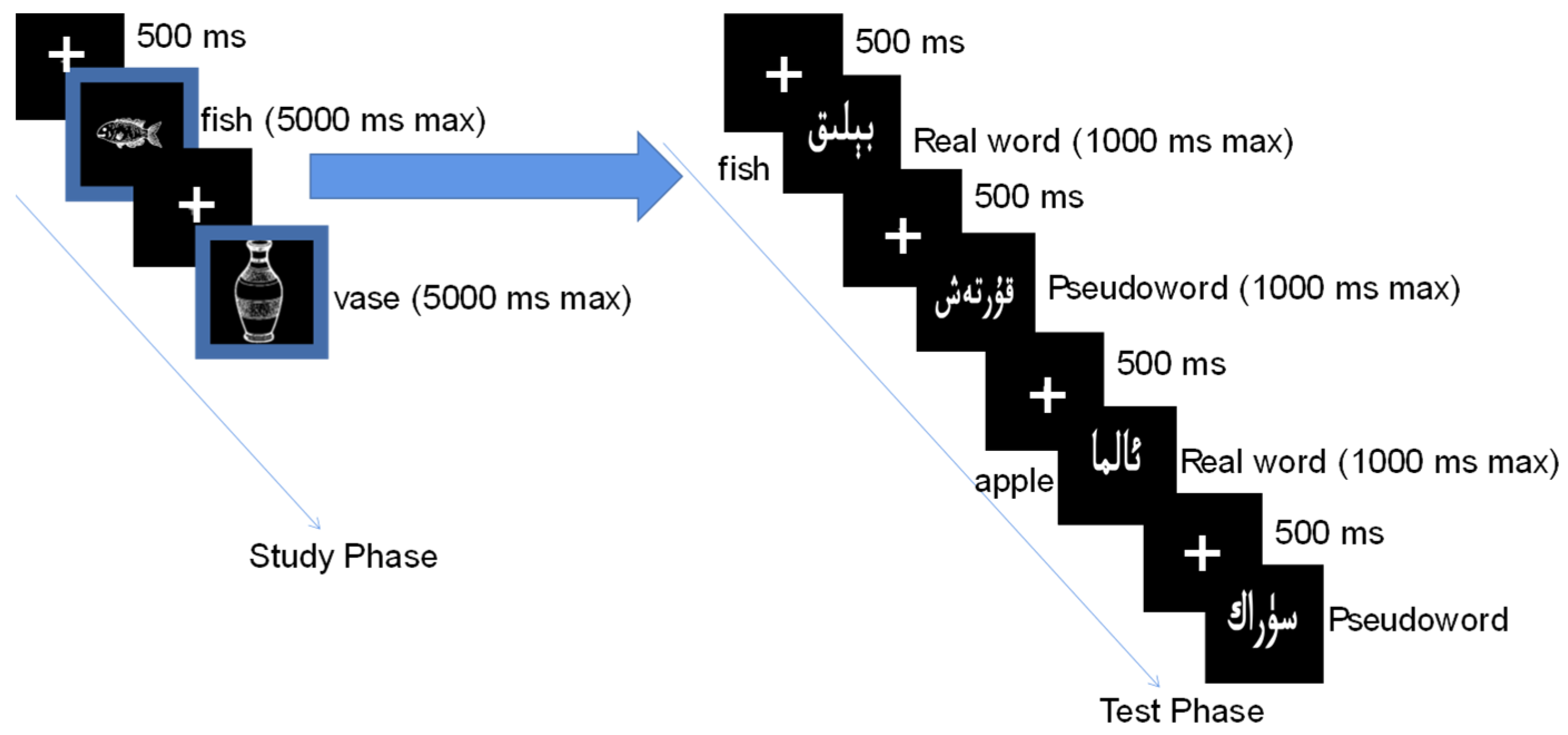 Brainsci 15 01288 g001 Brainsci 15 01288 g001