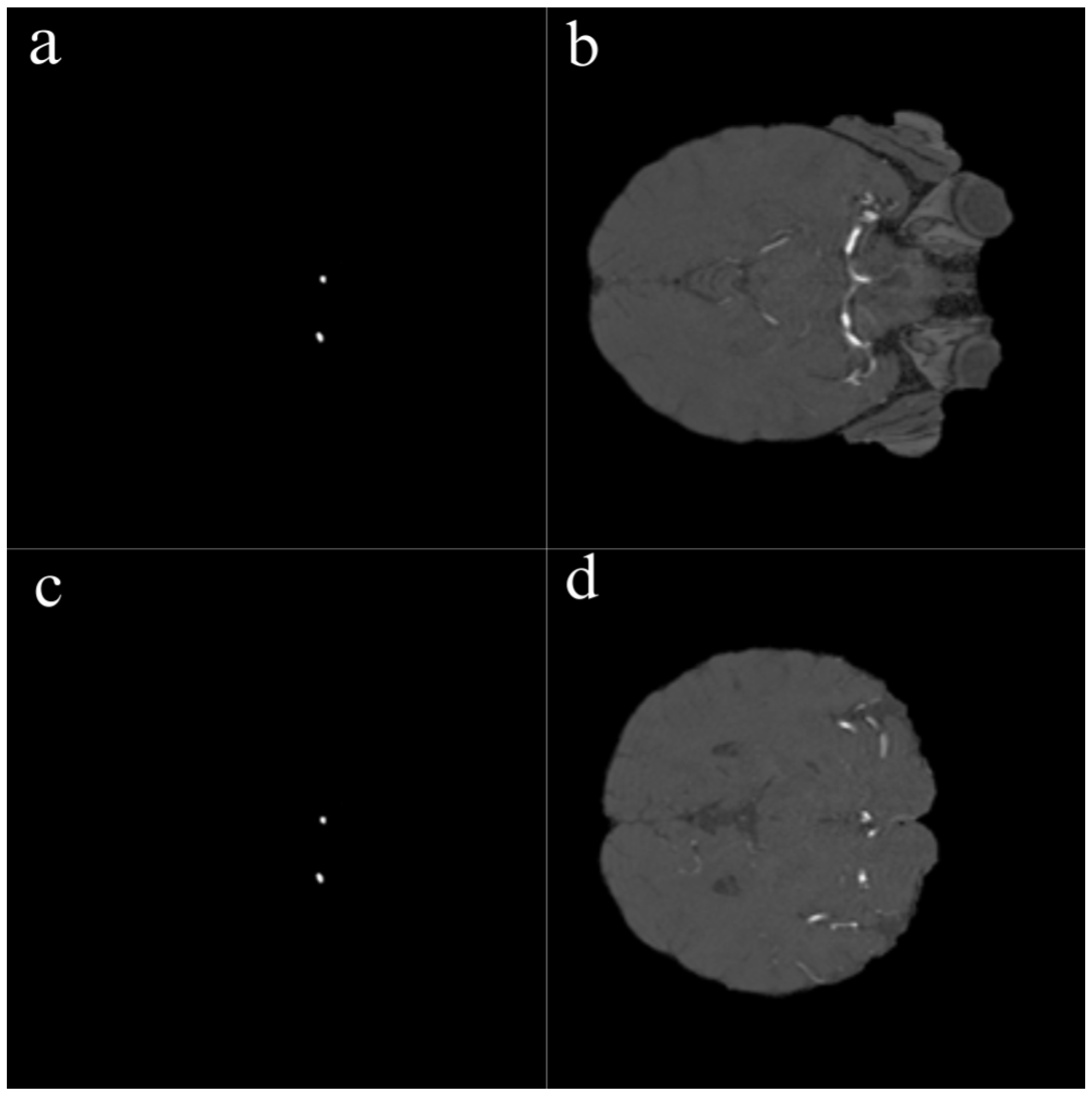 Brainsci 15 01295 g002