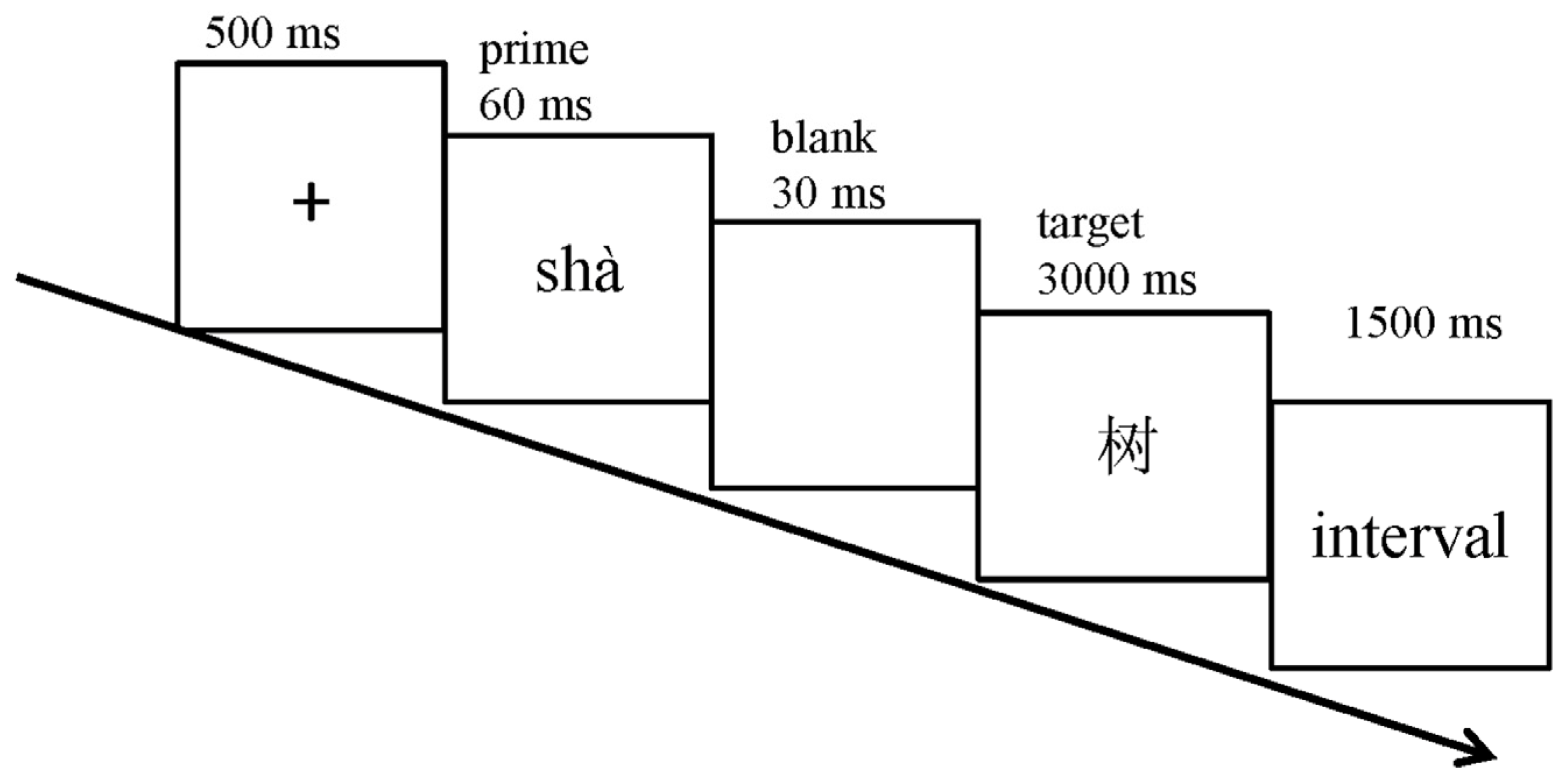 Brainsci 15 01304 g001 Brainsci 15 01304 g001