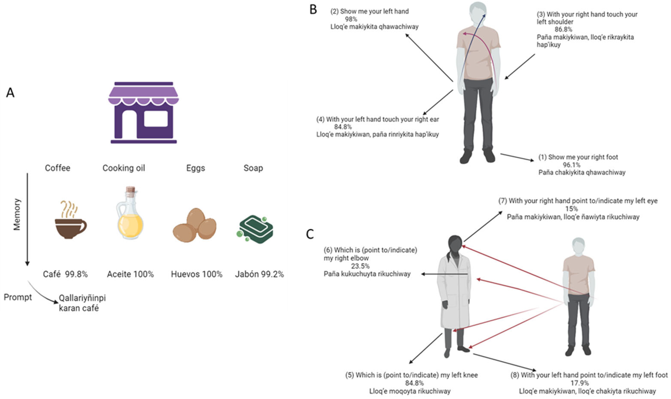 Brainsci 15 01307 g001