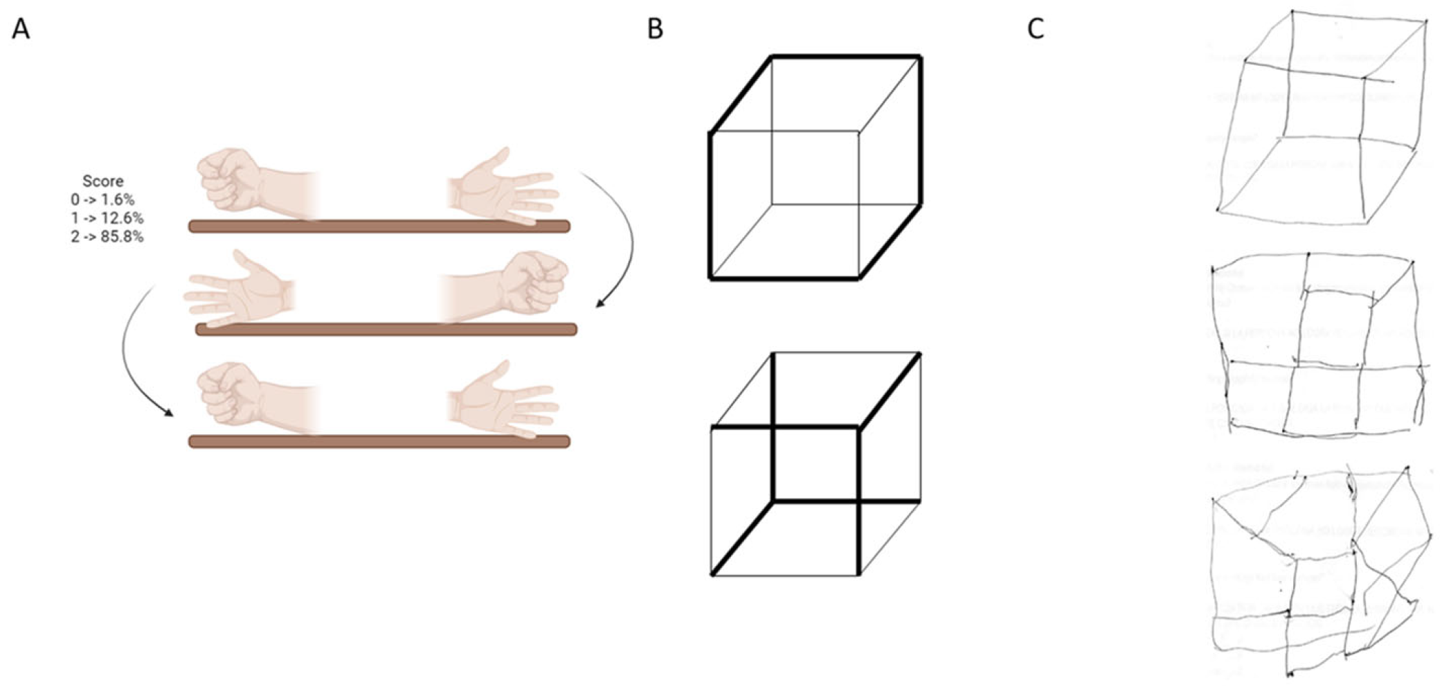 Brainsci 15 01307 g002
