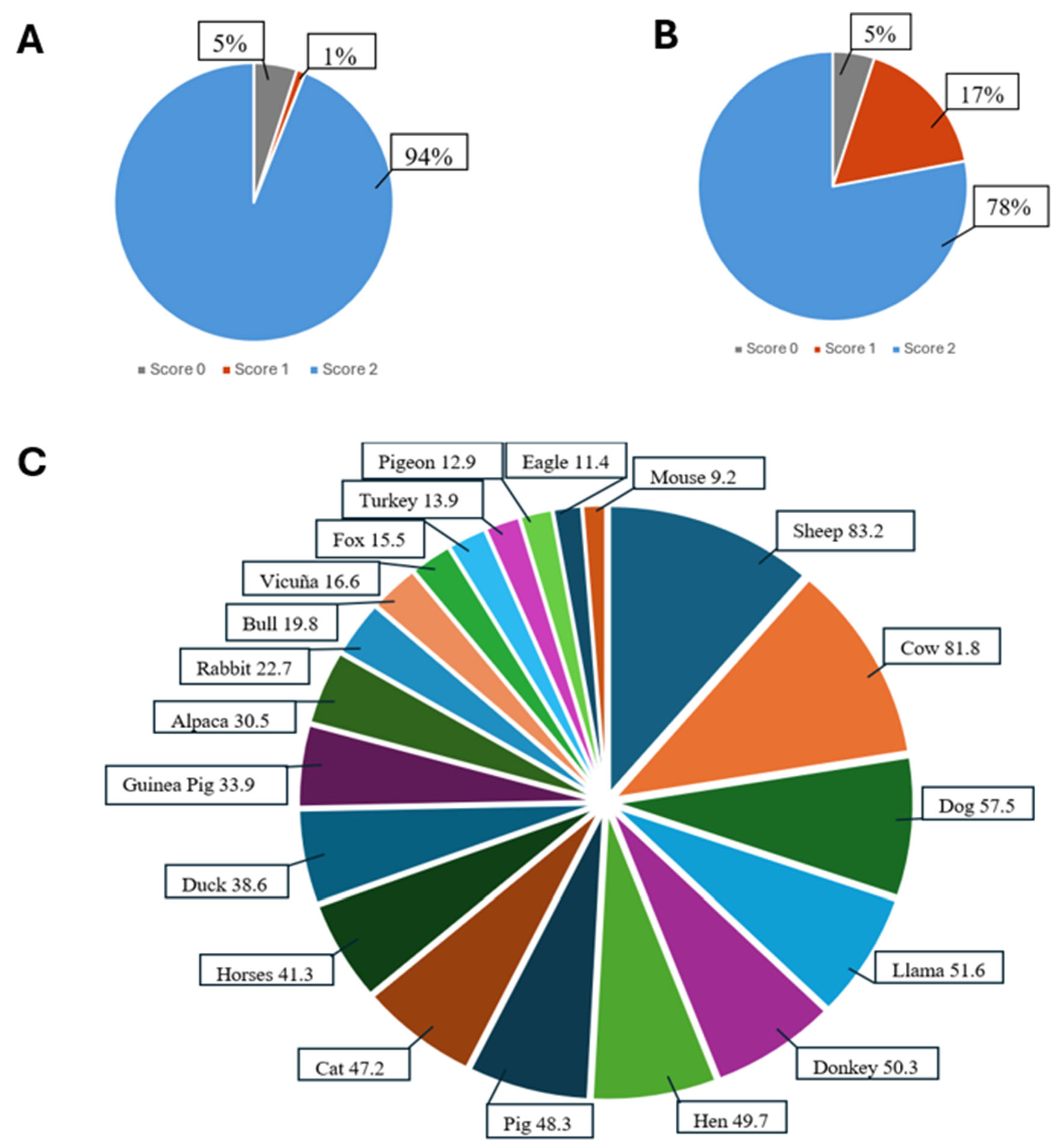 Brainsci 15 01307 g003