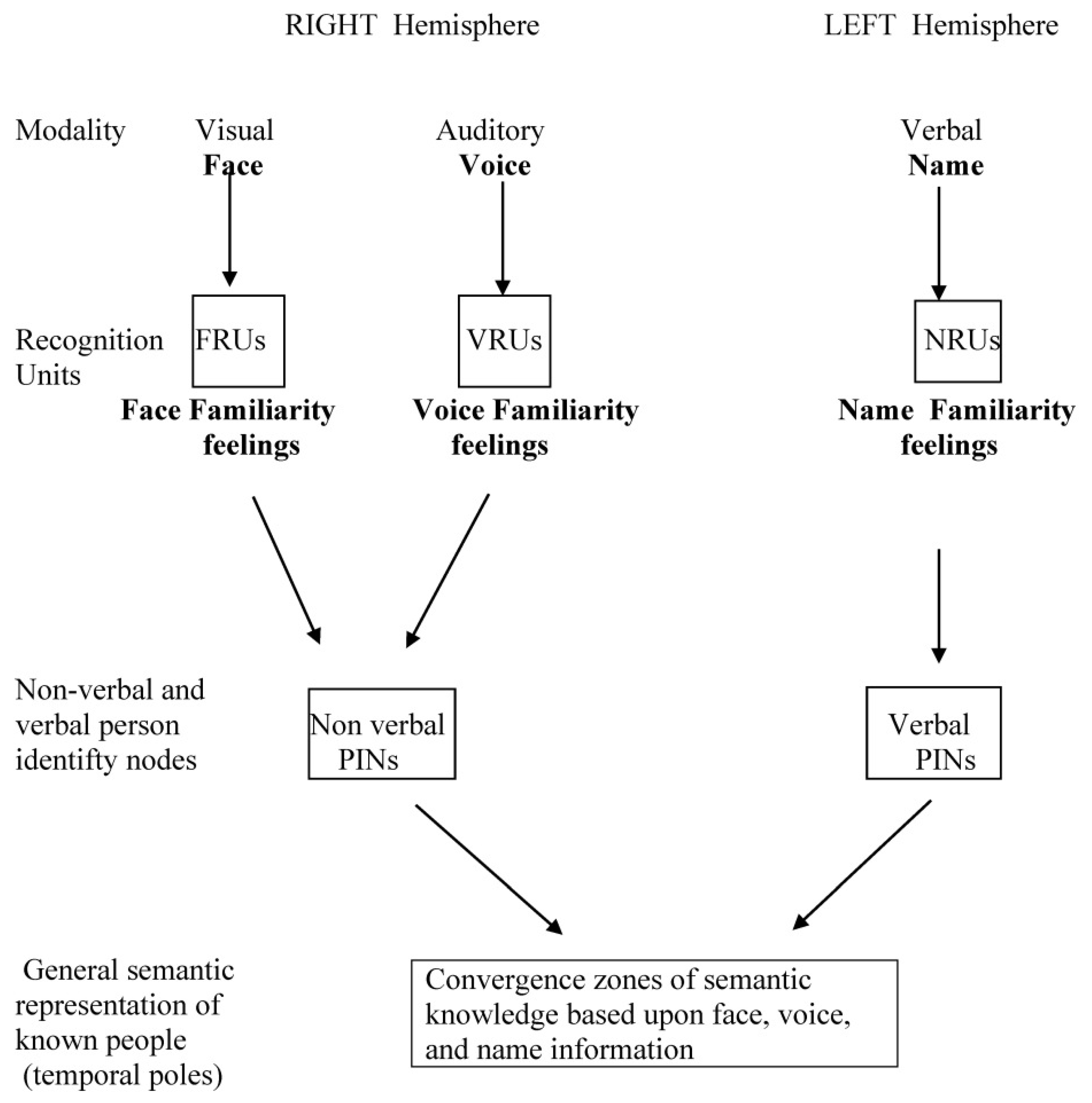 Brainsci 15 01309 g001