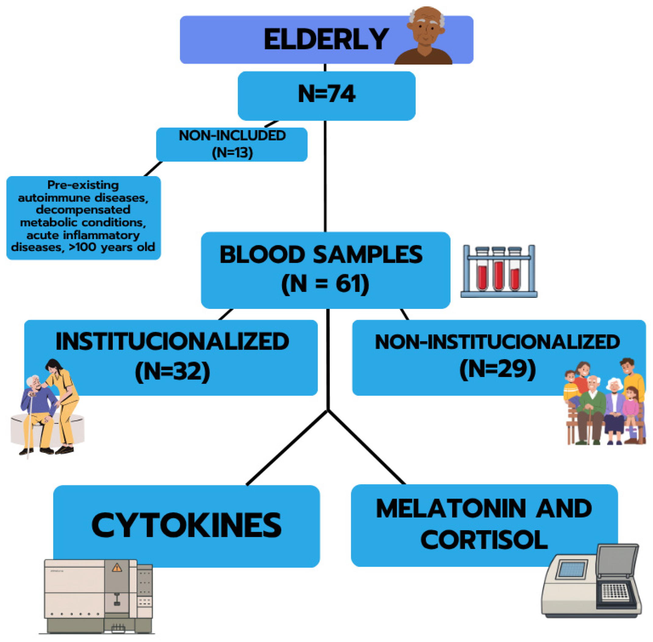 Brainsci 15 01310 sch001