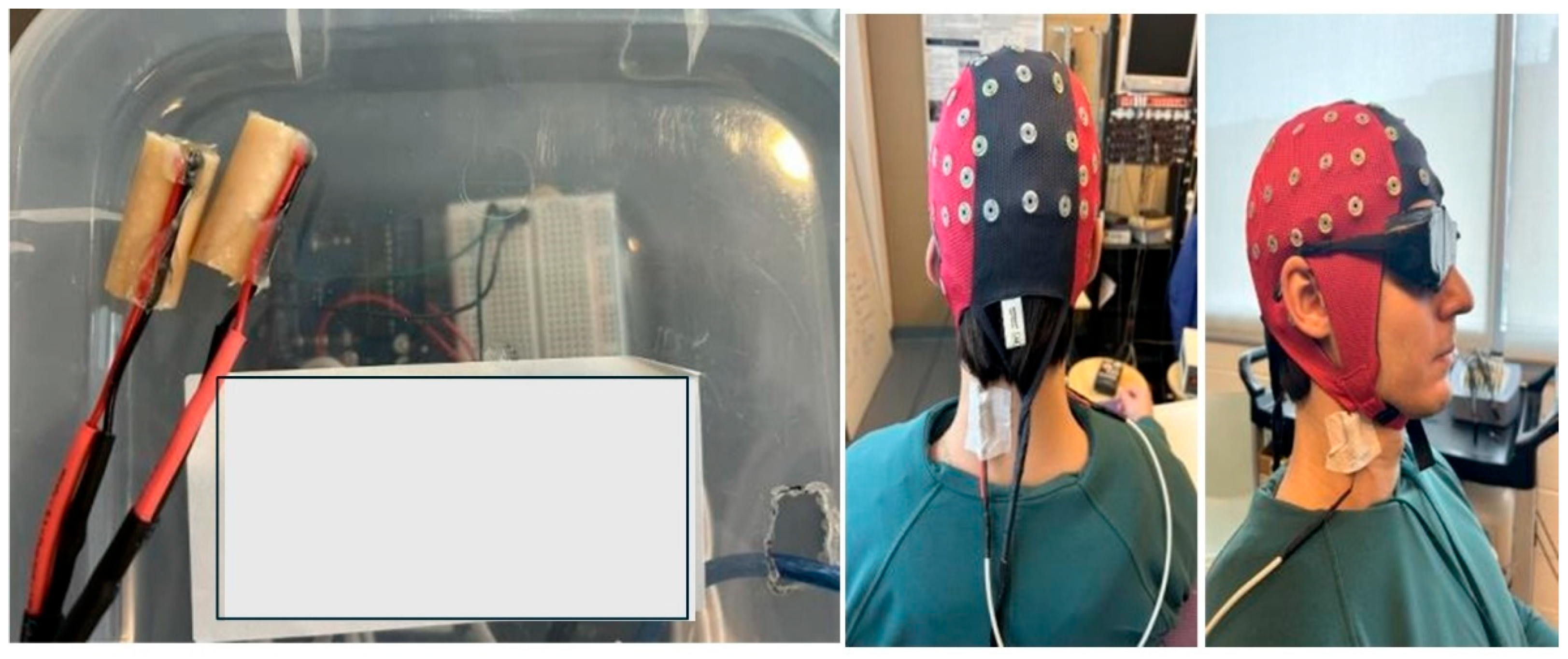 Brainsci 15 01311 g001