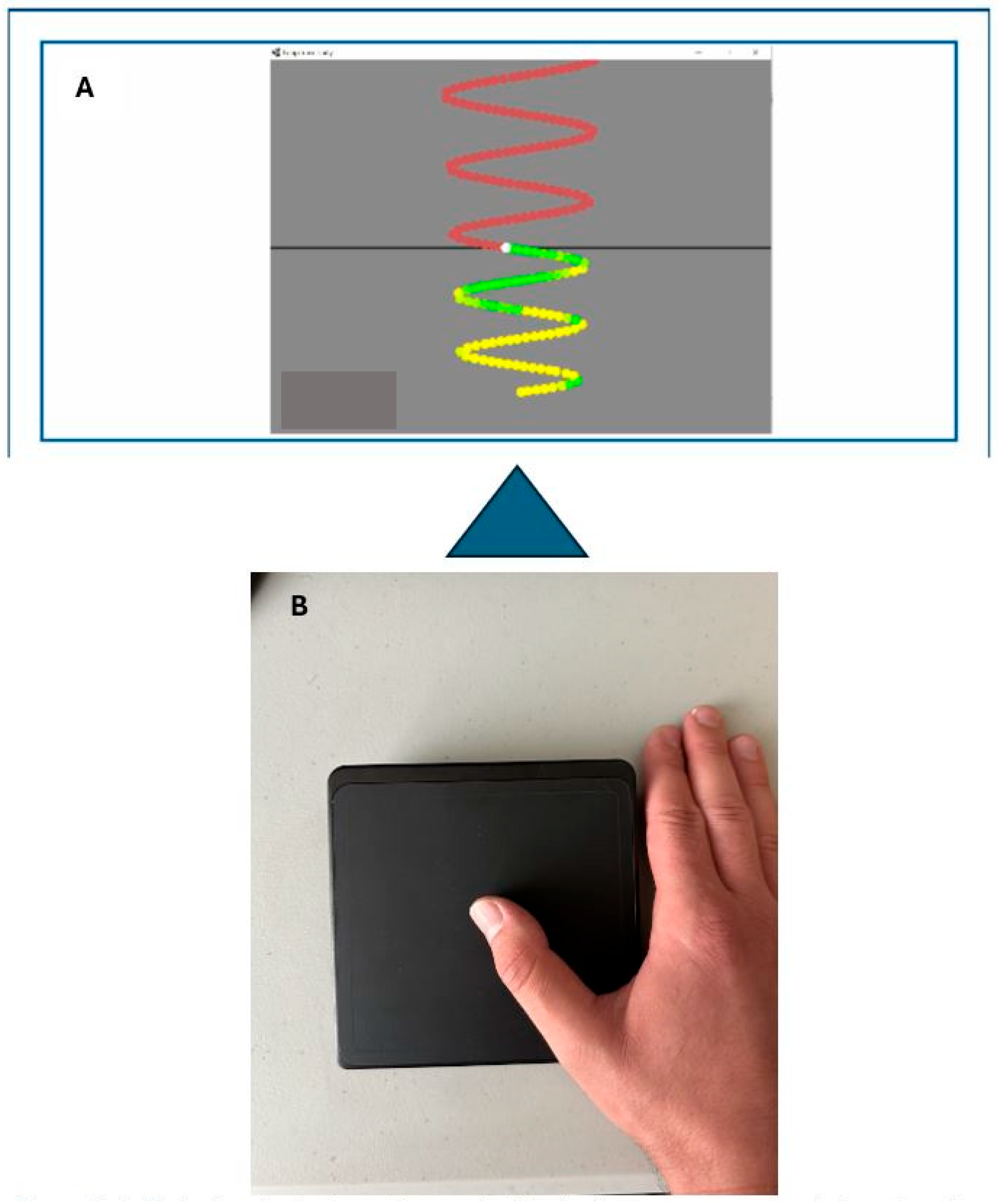 Brainsci 15 01311 g002