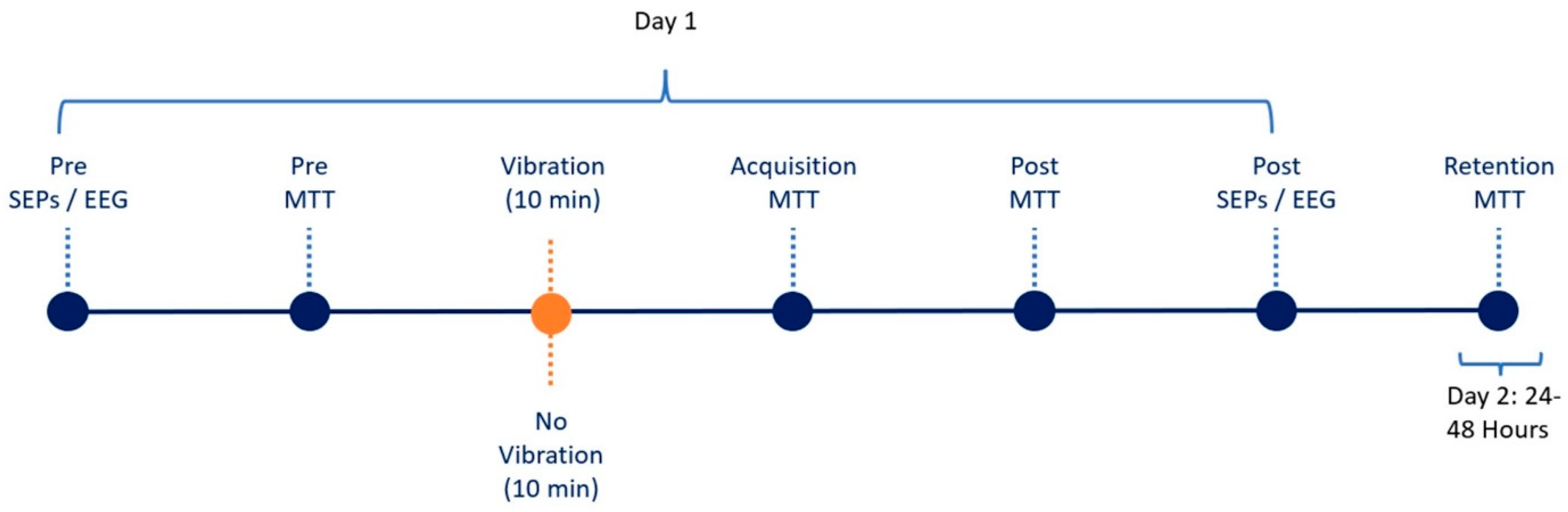 Brainsci 15 01311 g003