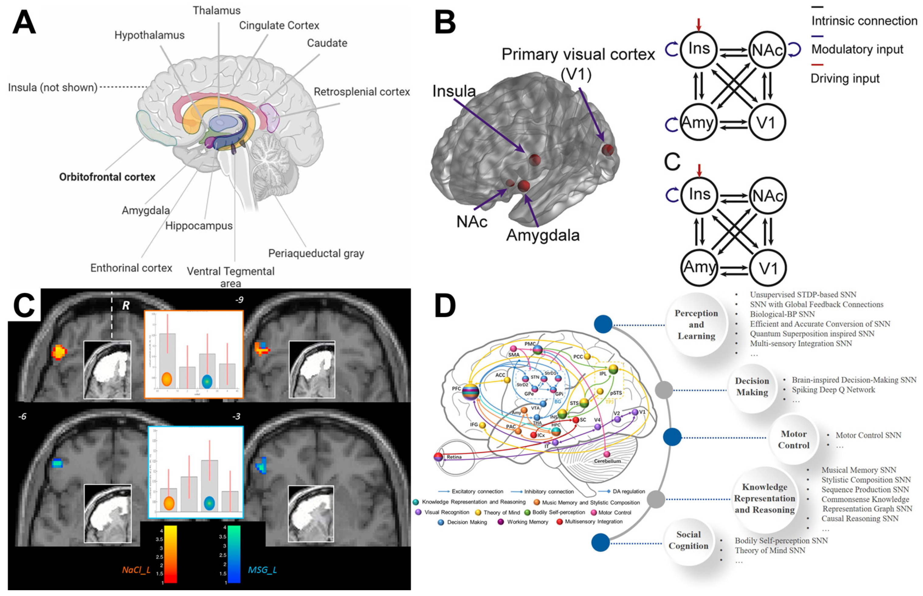 Brainsci 15 01317 g004 Brainsci 15 01317 g004