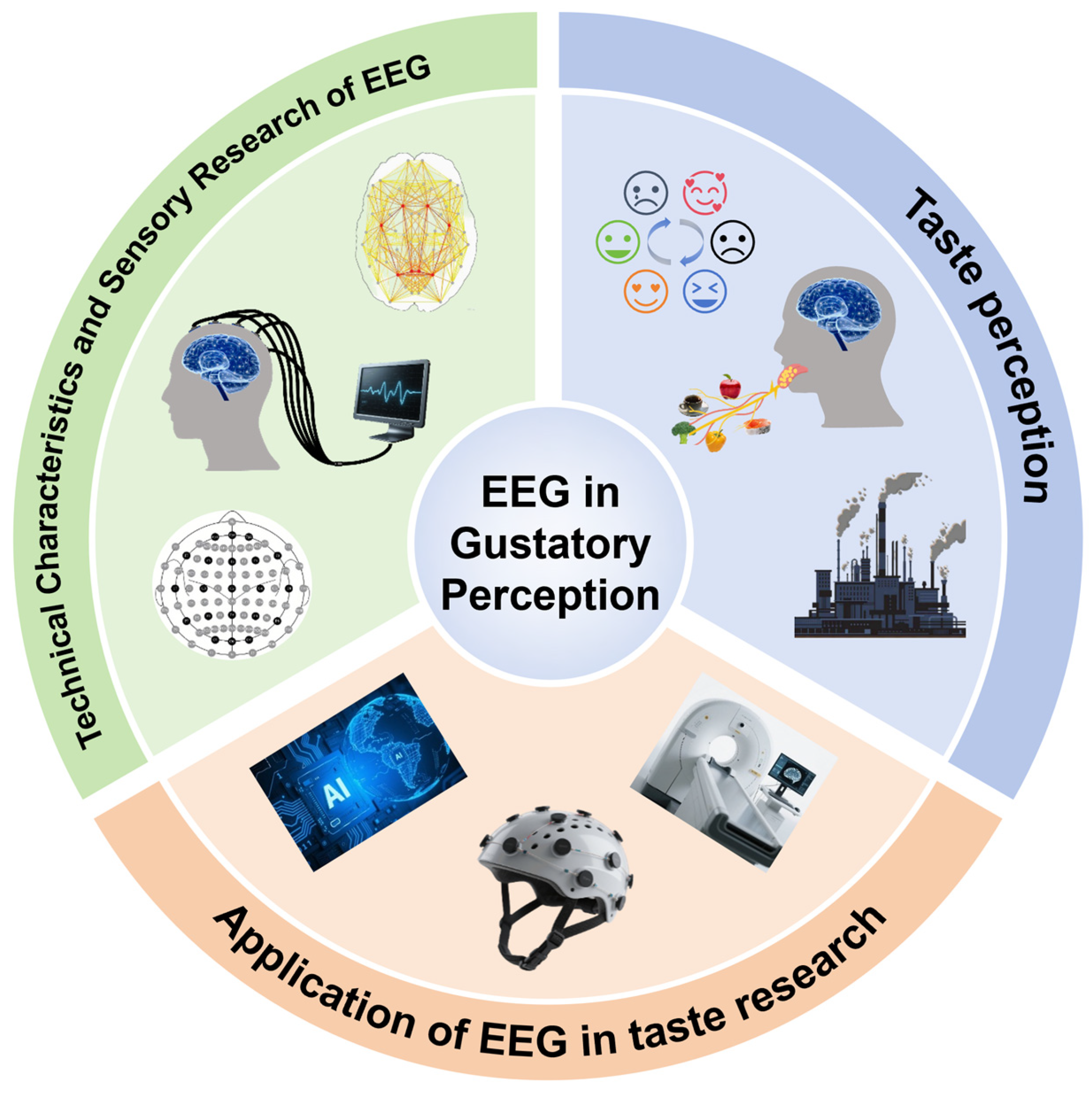 Brainsci 15 01317 sch001 Brainsci 15 01317 sch001