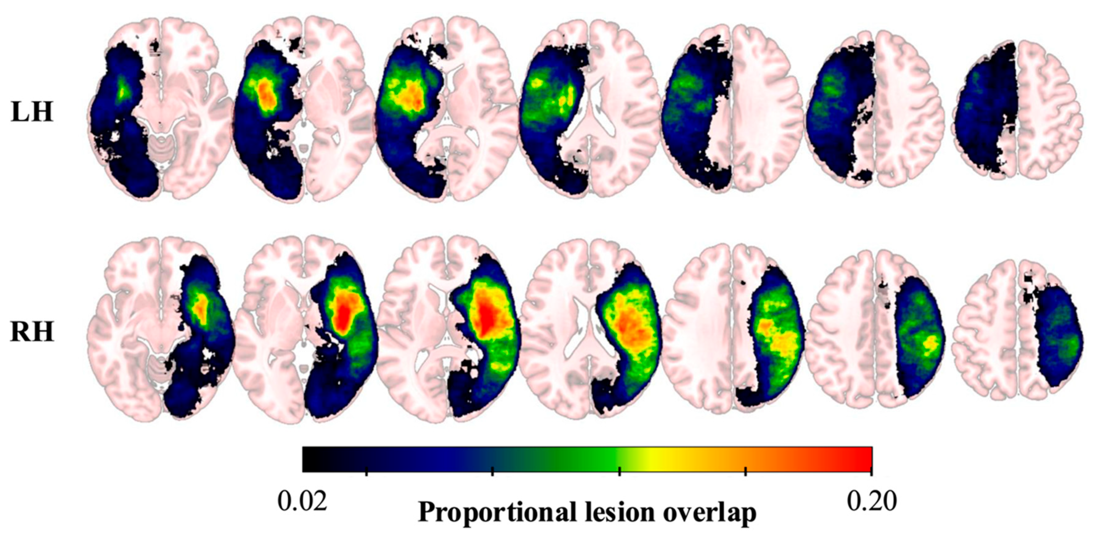 Brainsci 15 01329 g001 Brainsci 15 01329 g001